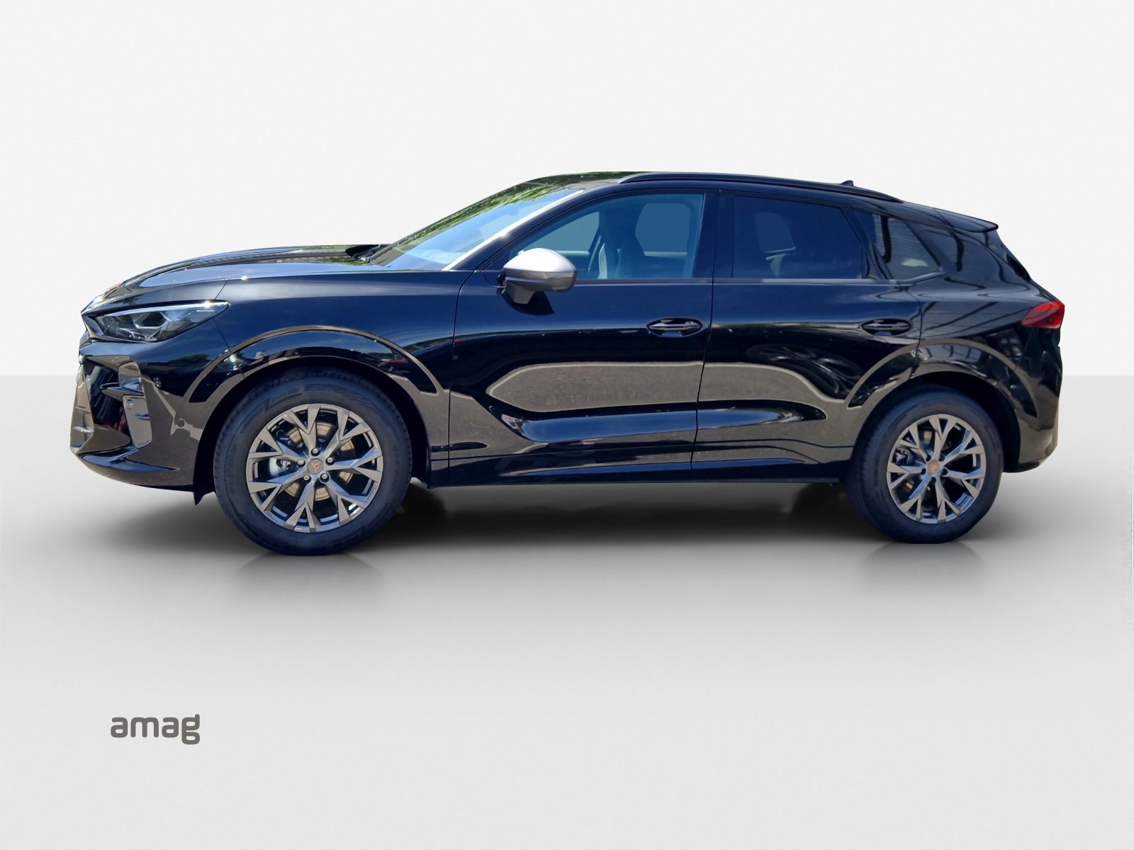 CUPRA Terramar 1.5 eTSI Prime Edition DSG-showroom-element-1