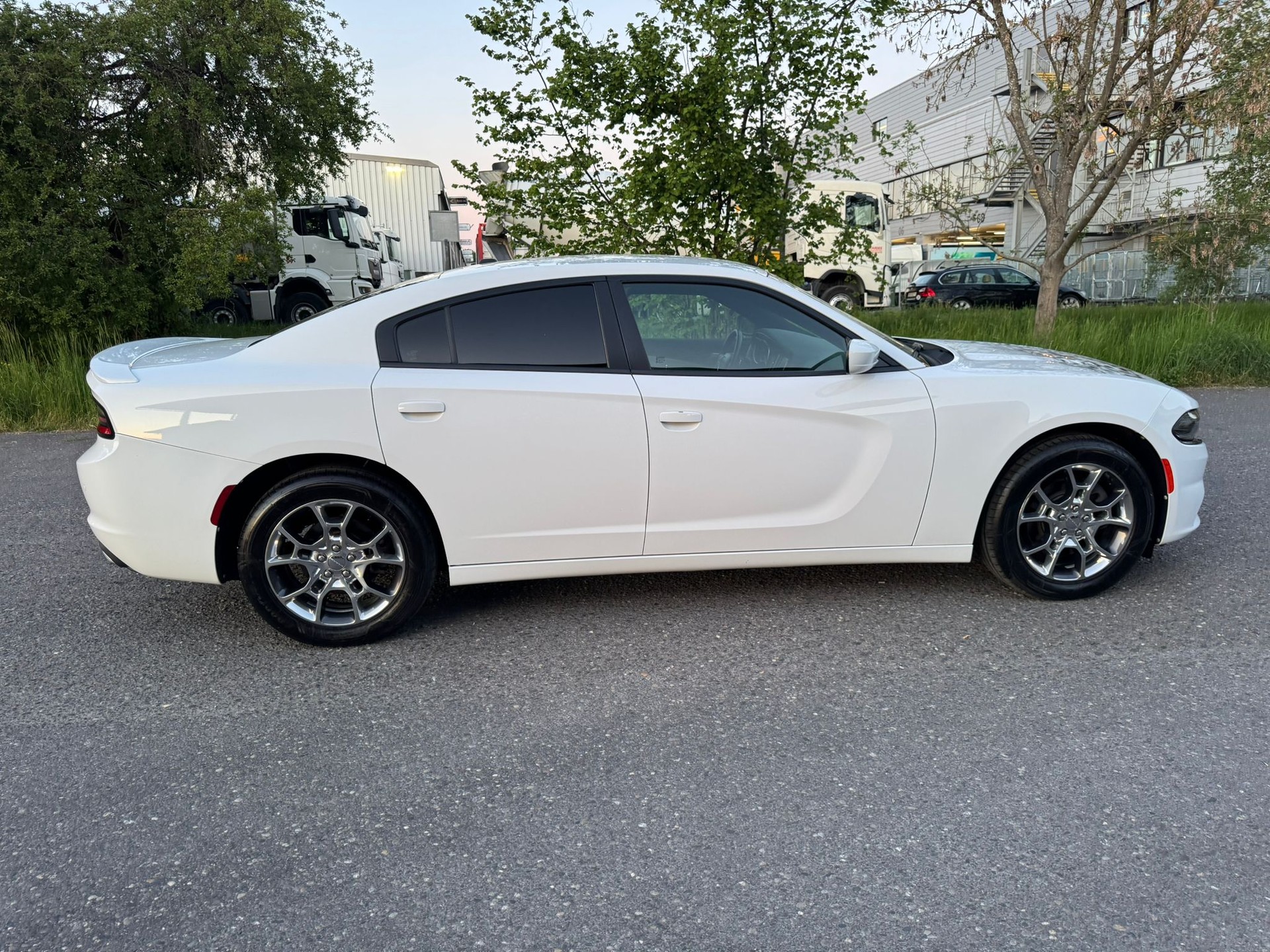 DODGE Rally 3.6 AWD-image-8