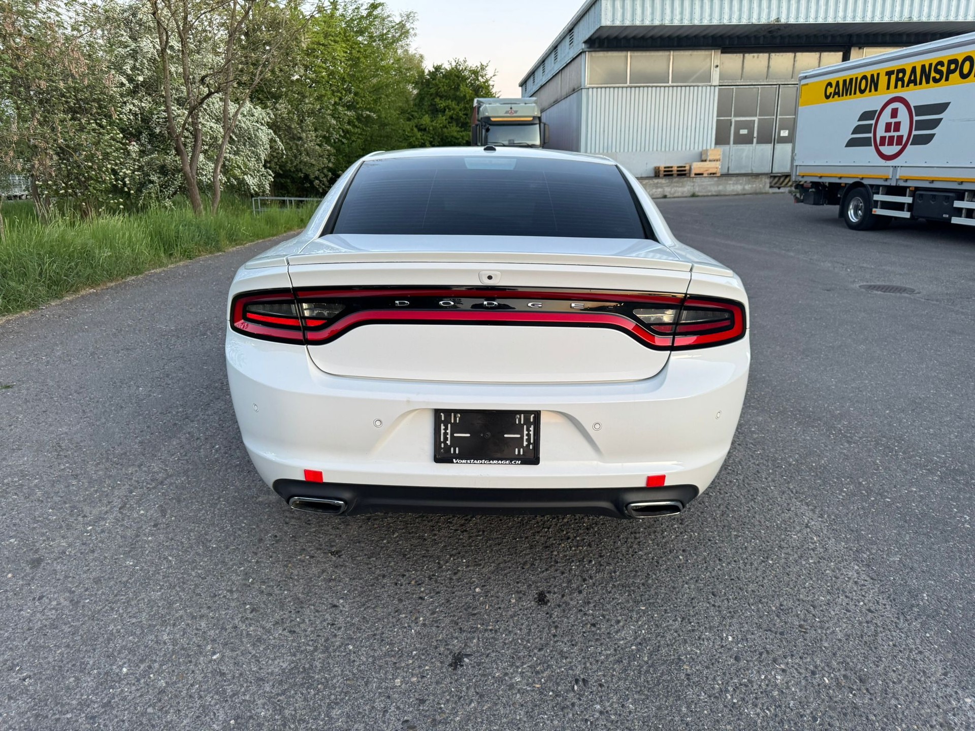 DODGE Rally 3.6 AWD-showroom-element-3