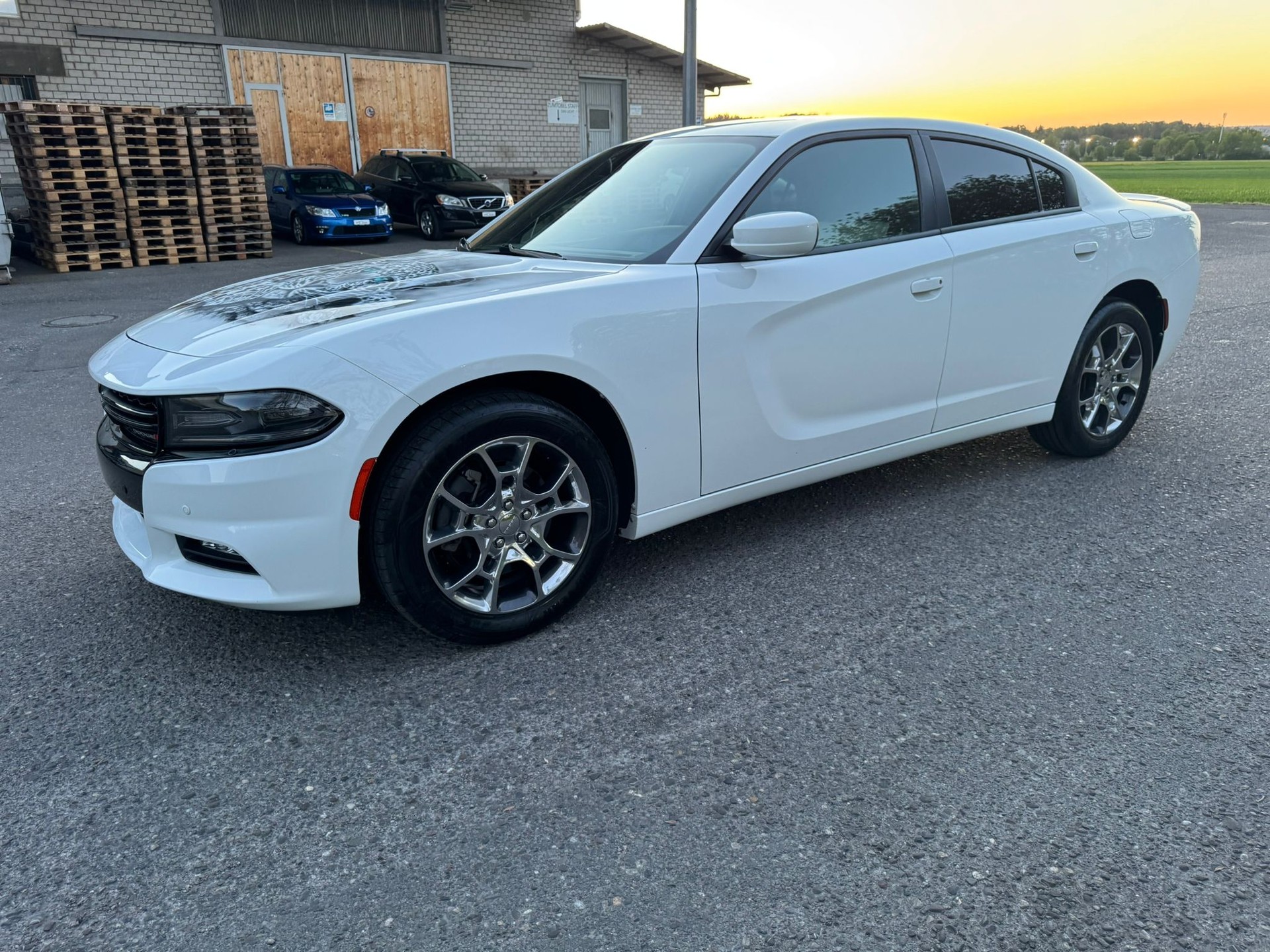 DODGE Rally 3.6 AWD-showroom-element-1