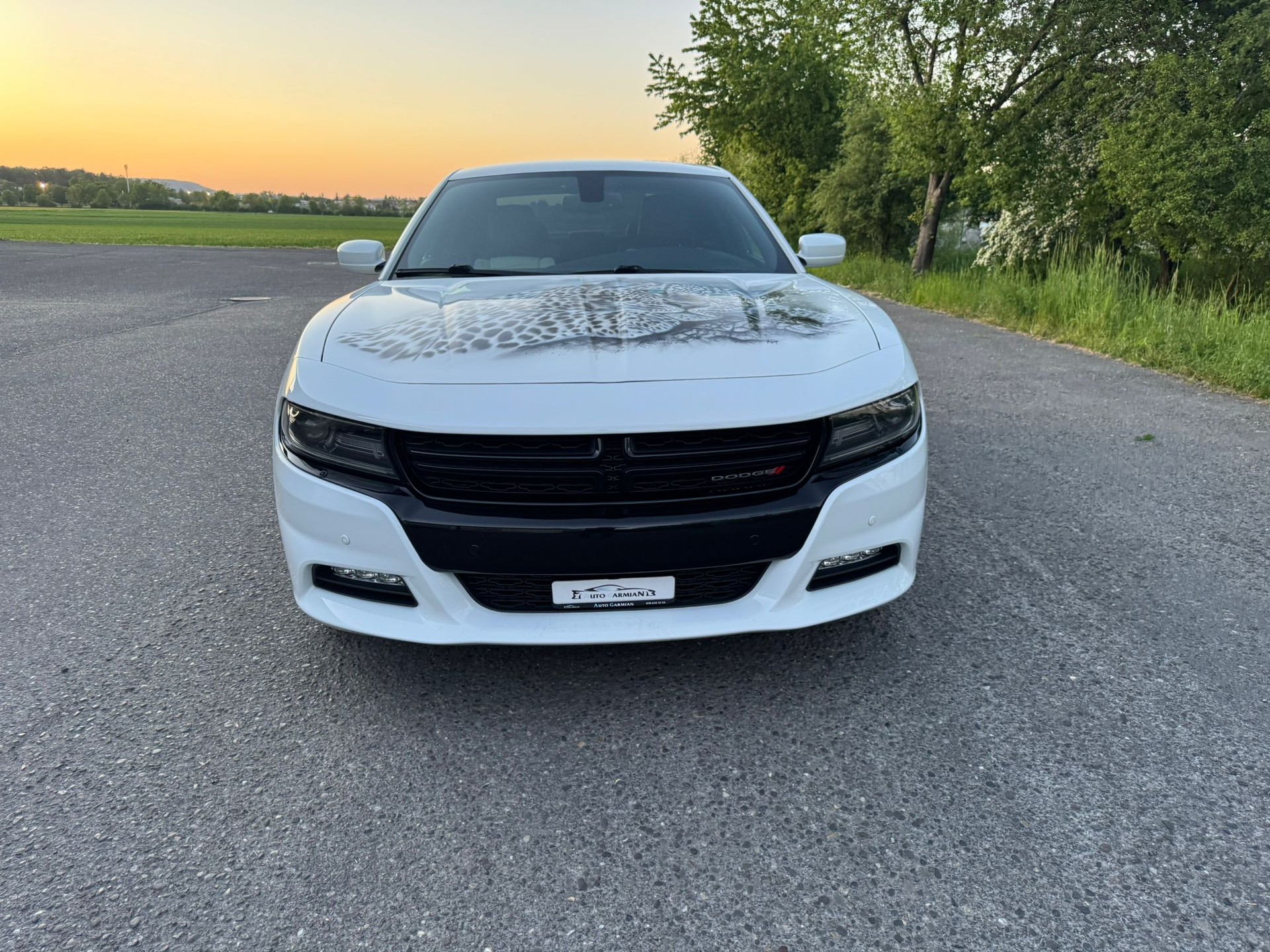 DODGE Rally 3.6 AWD