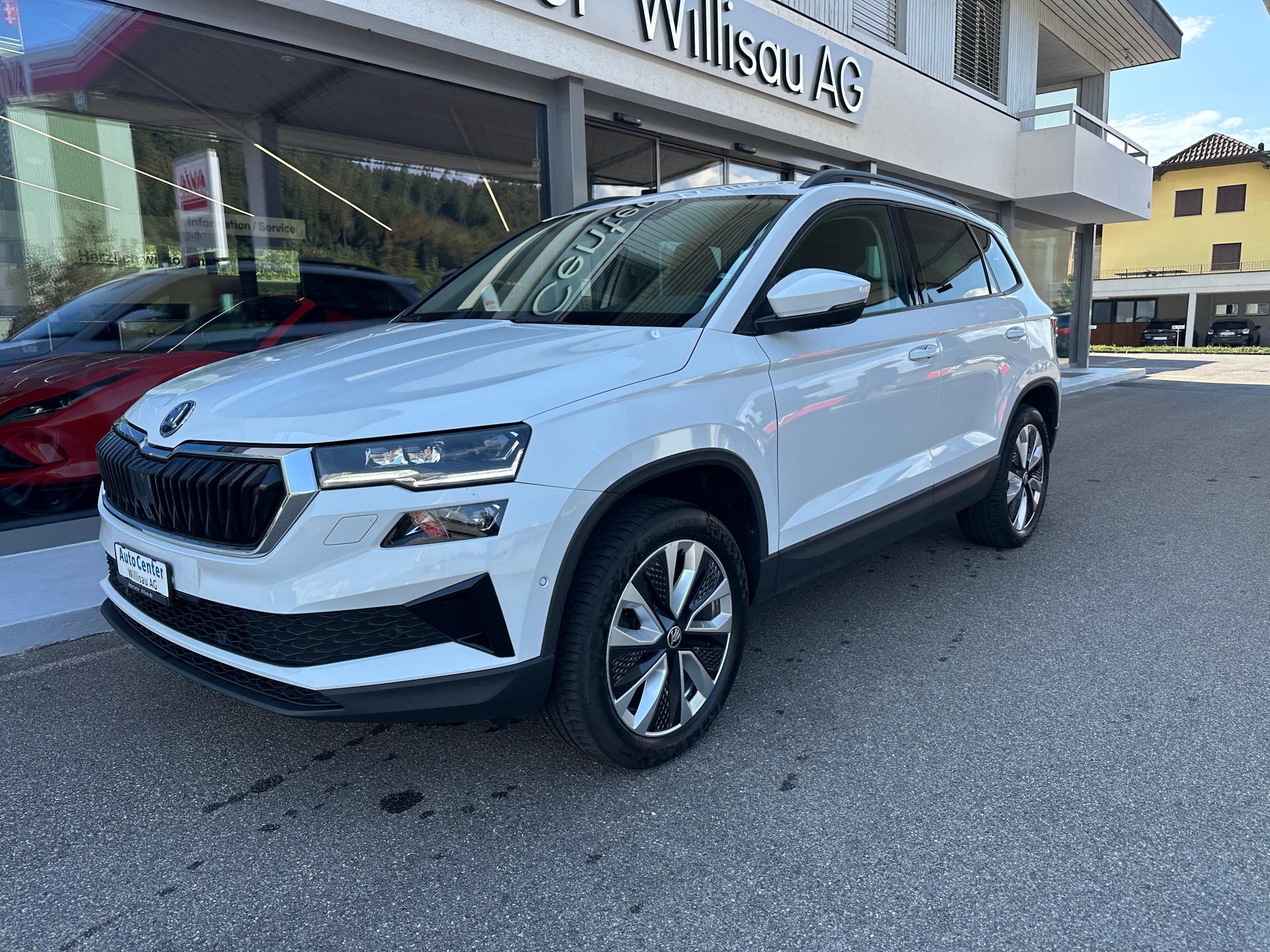 SKODA Karoq 2.0 TDI CR Style 4x4 DSG AHK 2.1 T-showroom-element-1