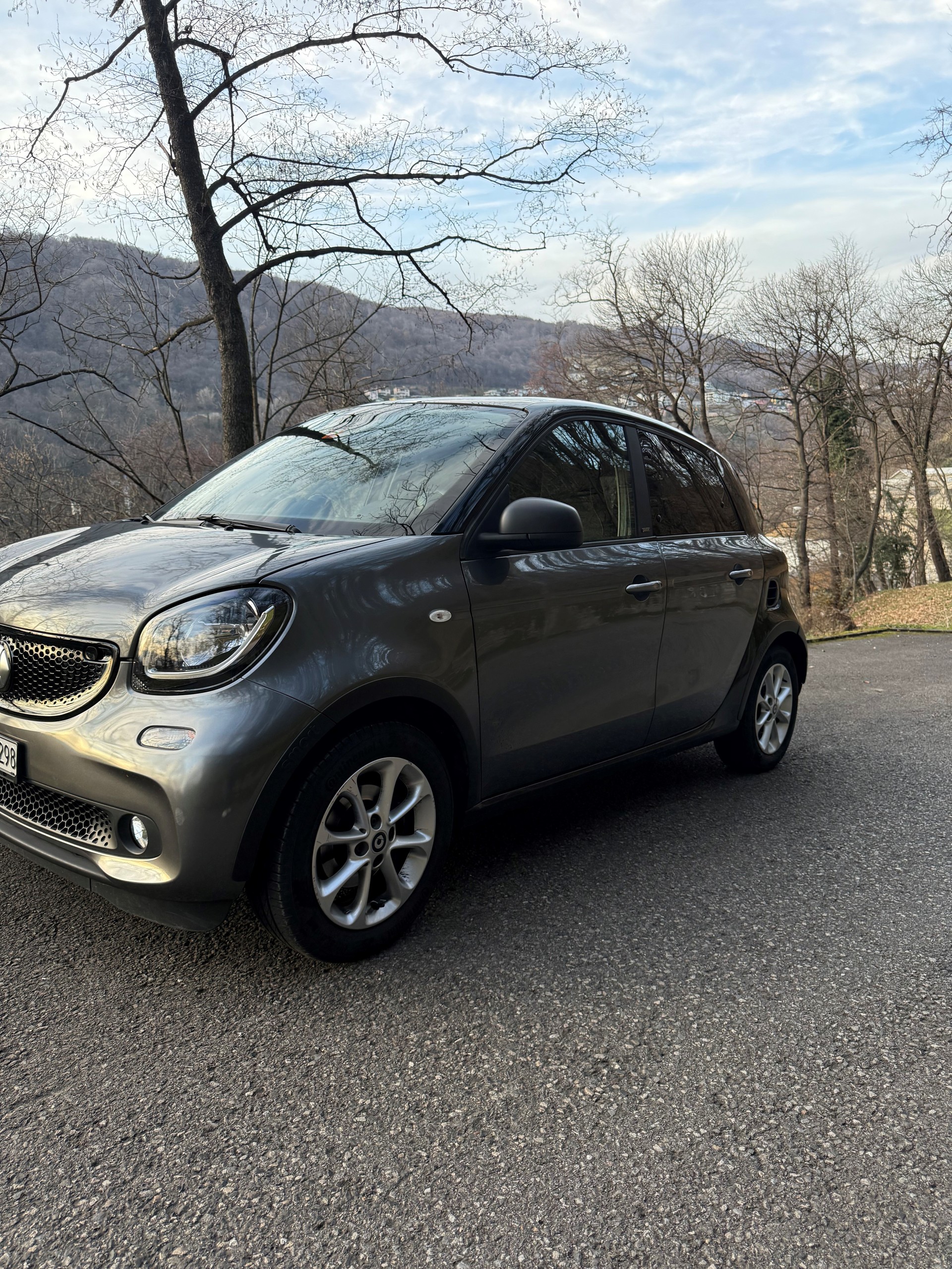 SMART forfour citypassion twinmatic-image-2