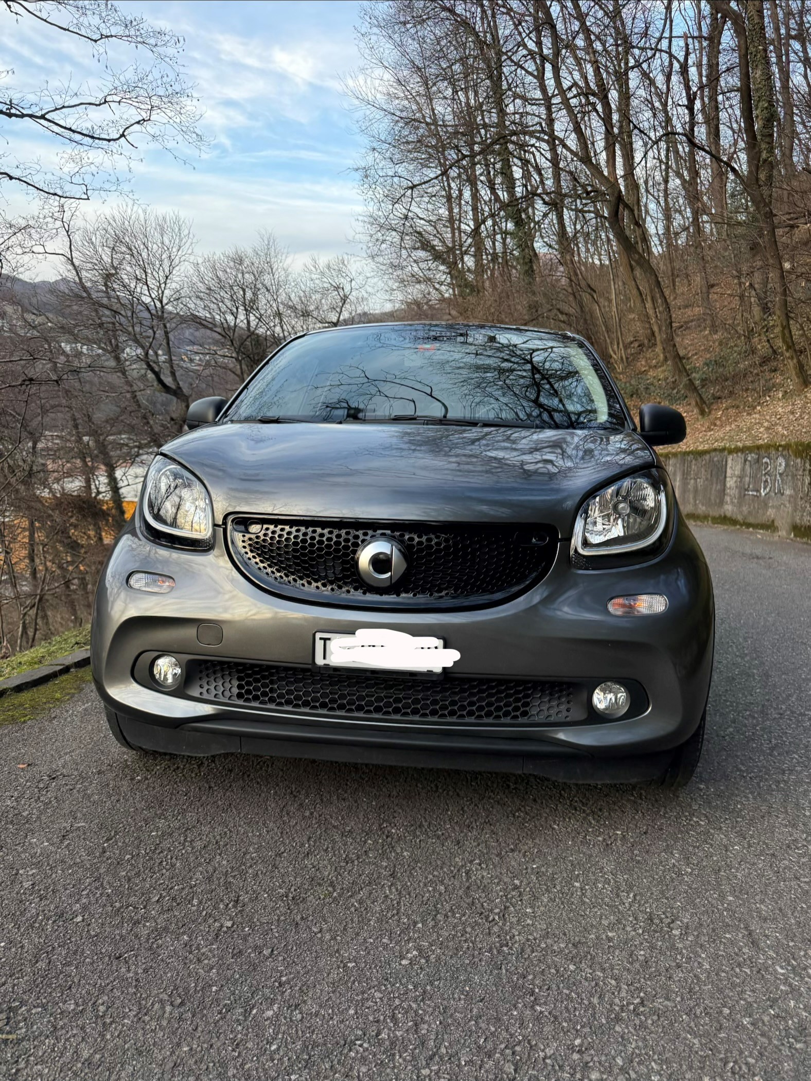 SMART forfour citypassion twinmatic