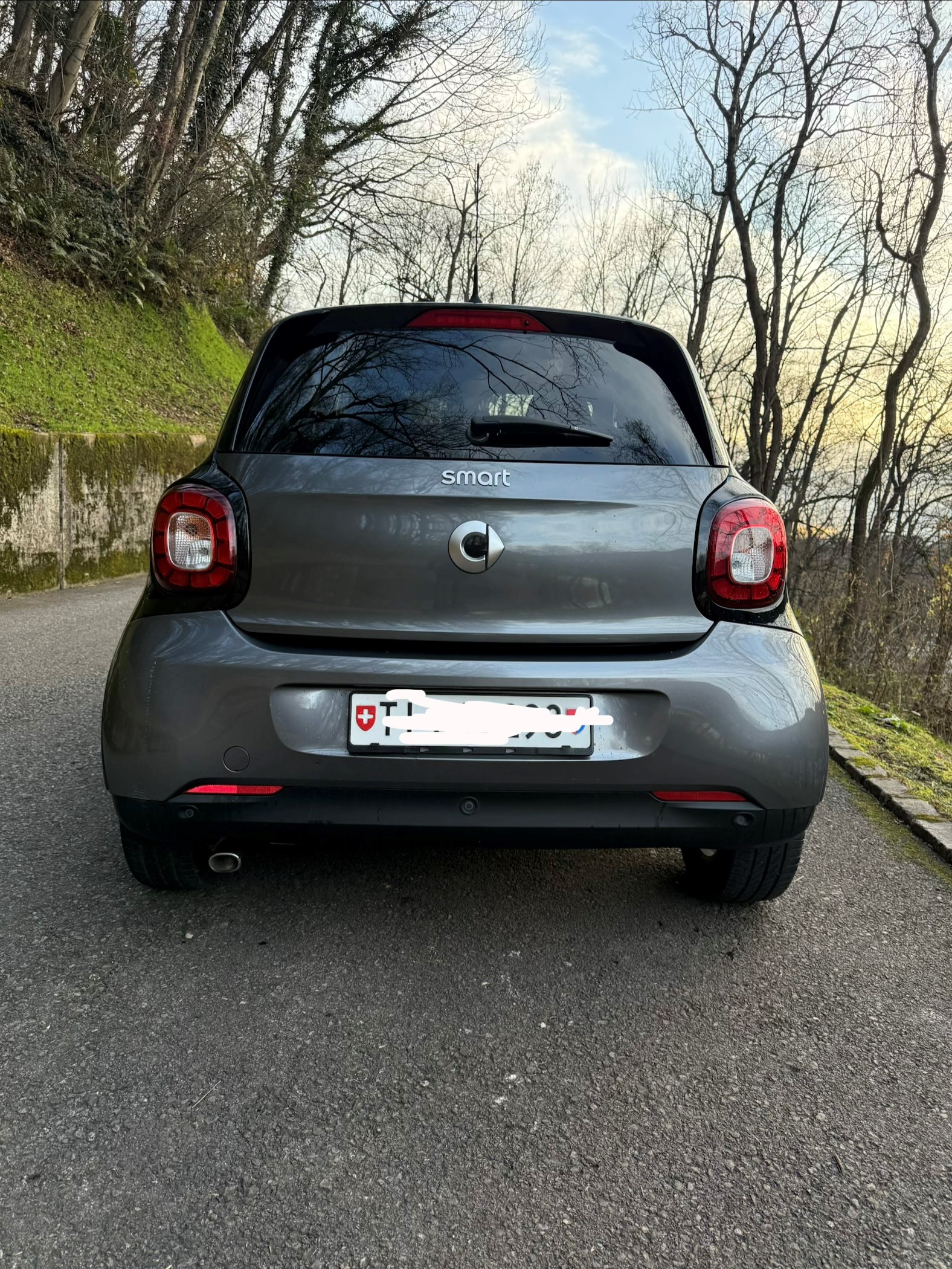SMART forfour citypassion twinmatic-image-1