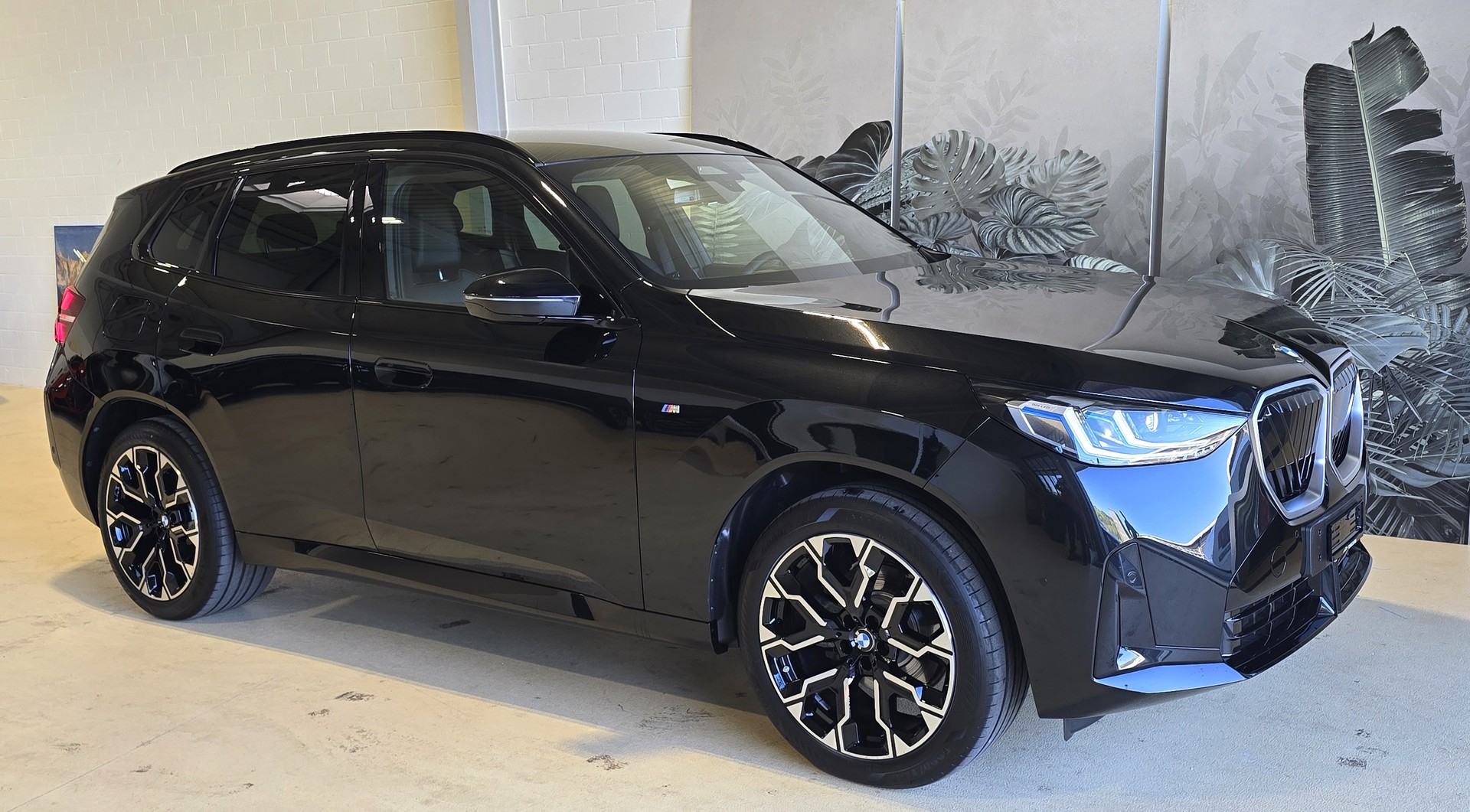 BMW X3 xDrive 20 48V M Sport-showroom-element-1