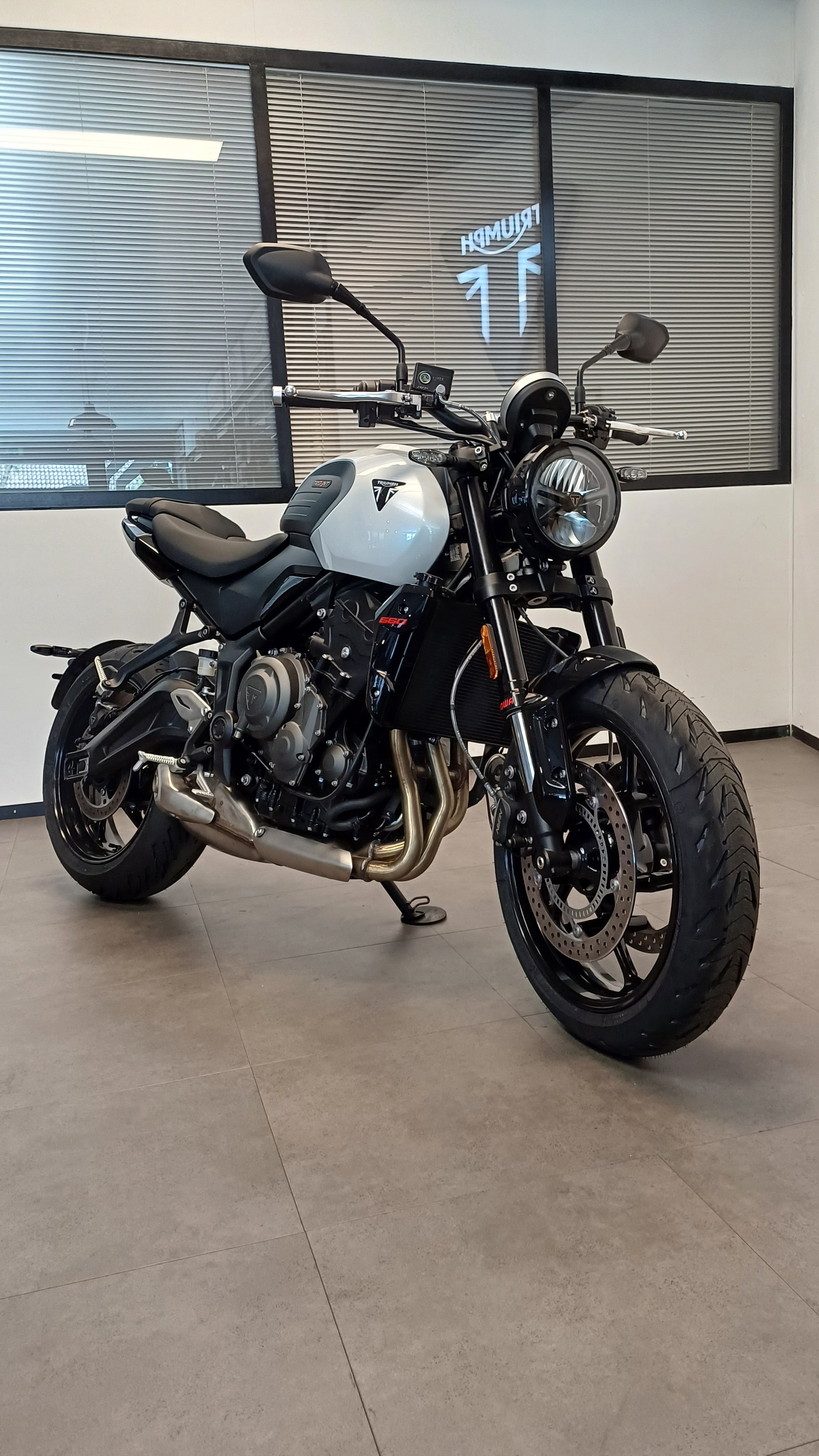 TRIUMPH Trident 660-image-0