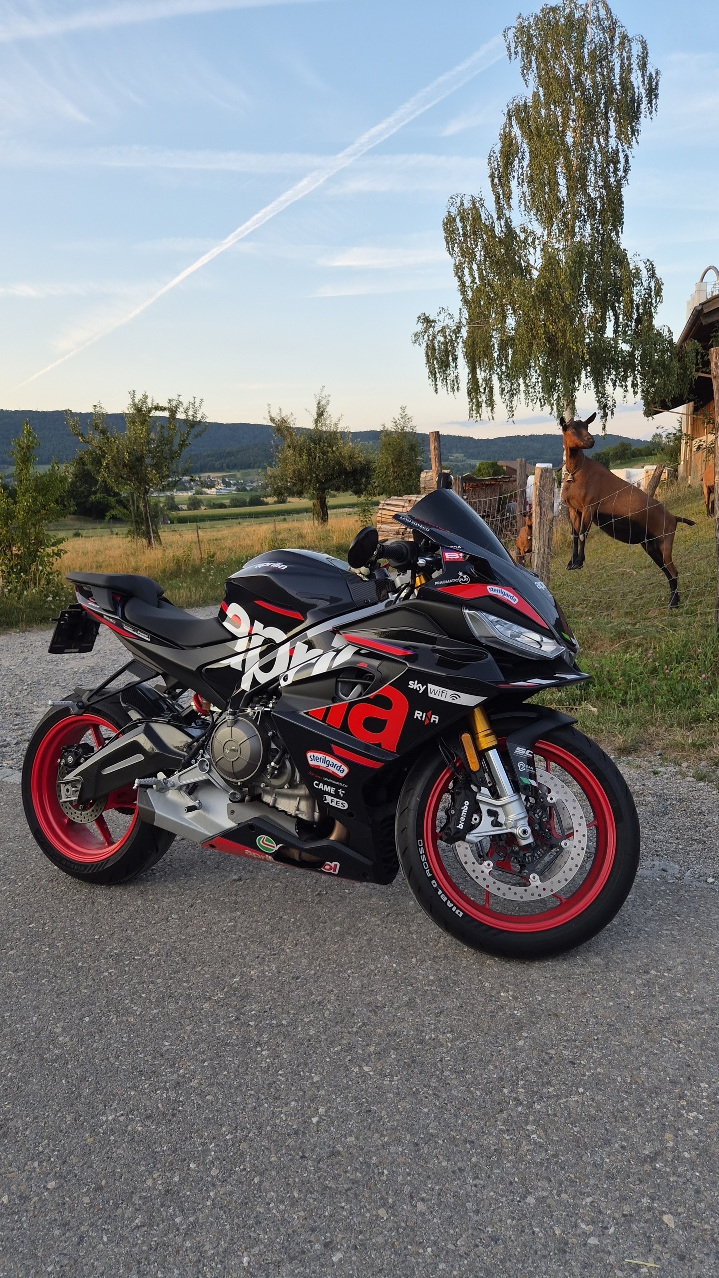 APRILIA RS 660 E5+ (35kW)-image-5