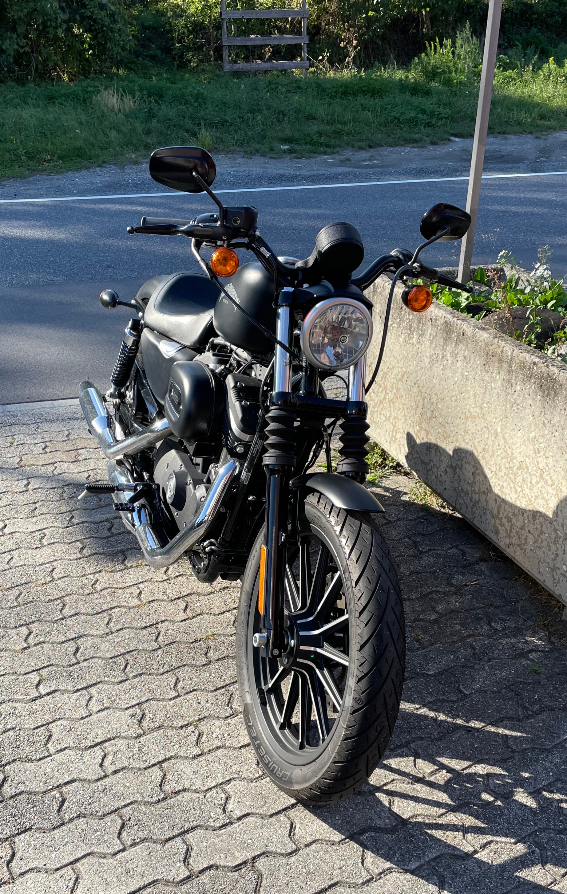 HARLEY-DAVIDSON XL 883 N Sportster Iron ABS-image-2