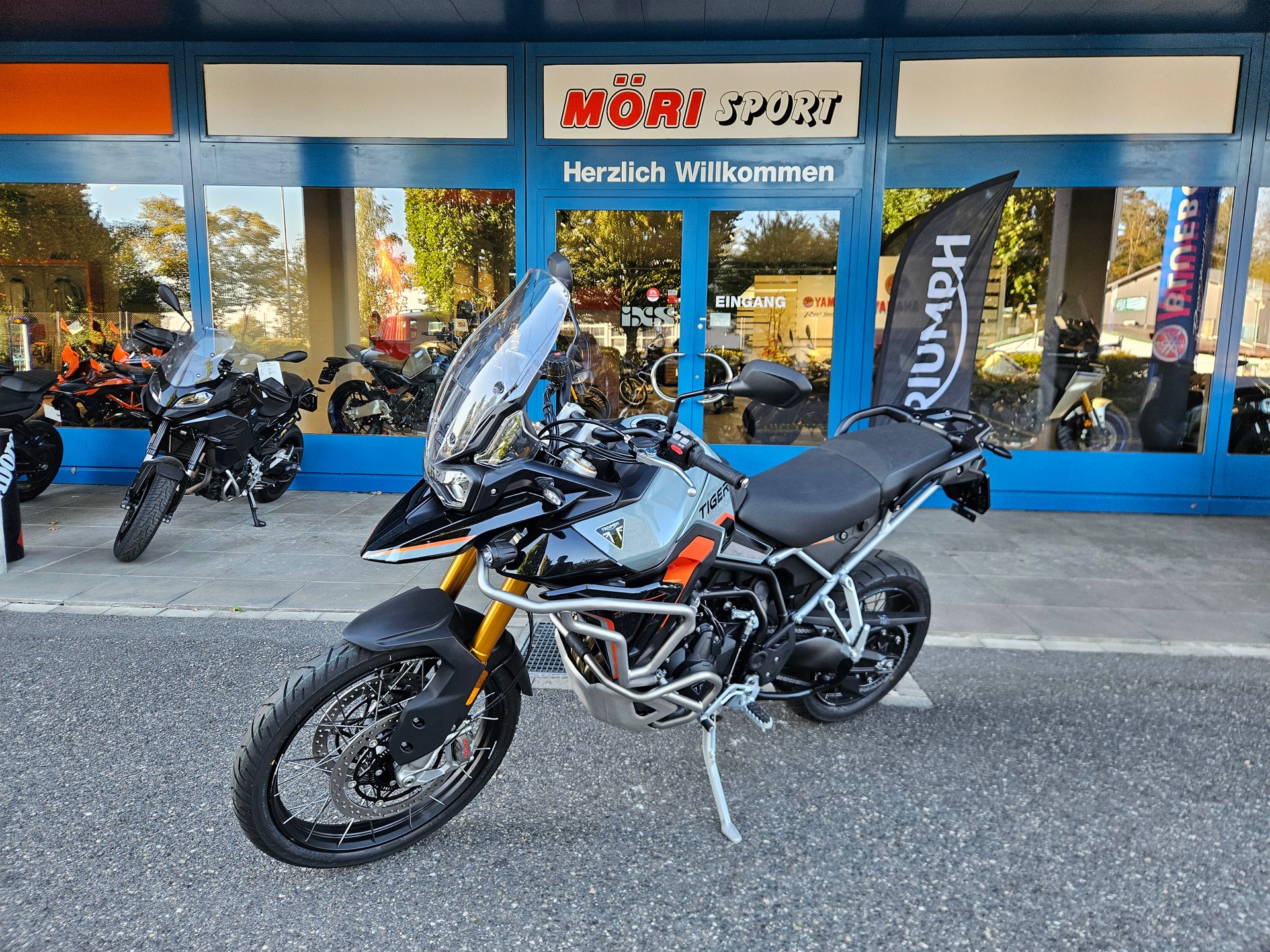 TRIUMPH Tiger 900 Desert Edition-image-2