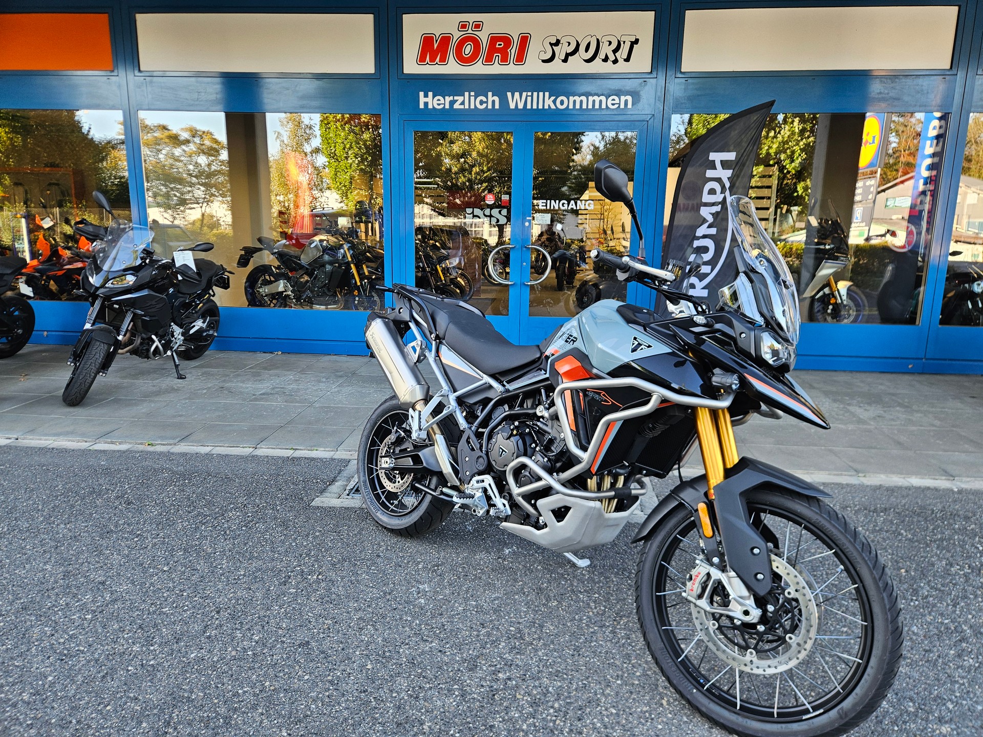 TRIUMPH Tiger 900 Desert Edition-image-1
