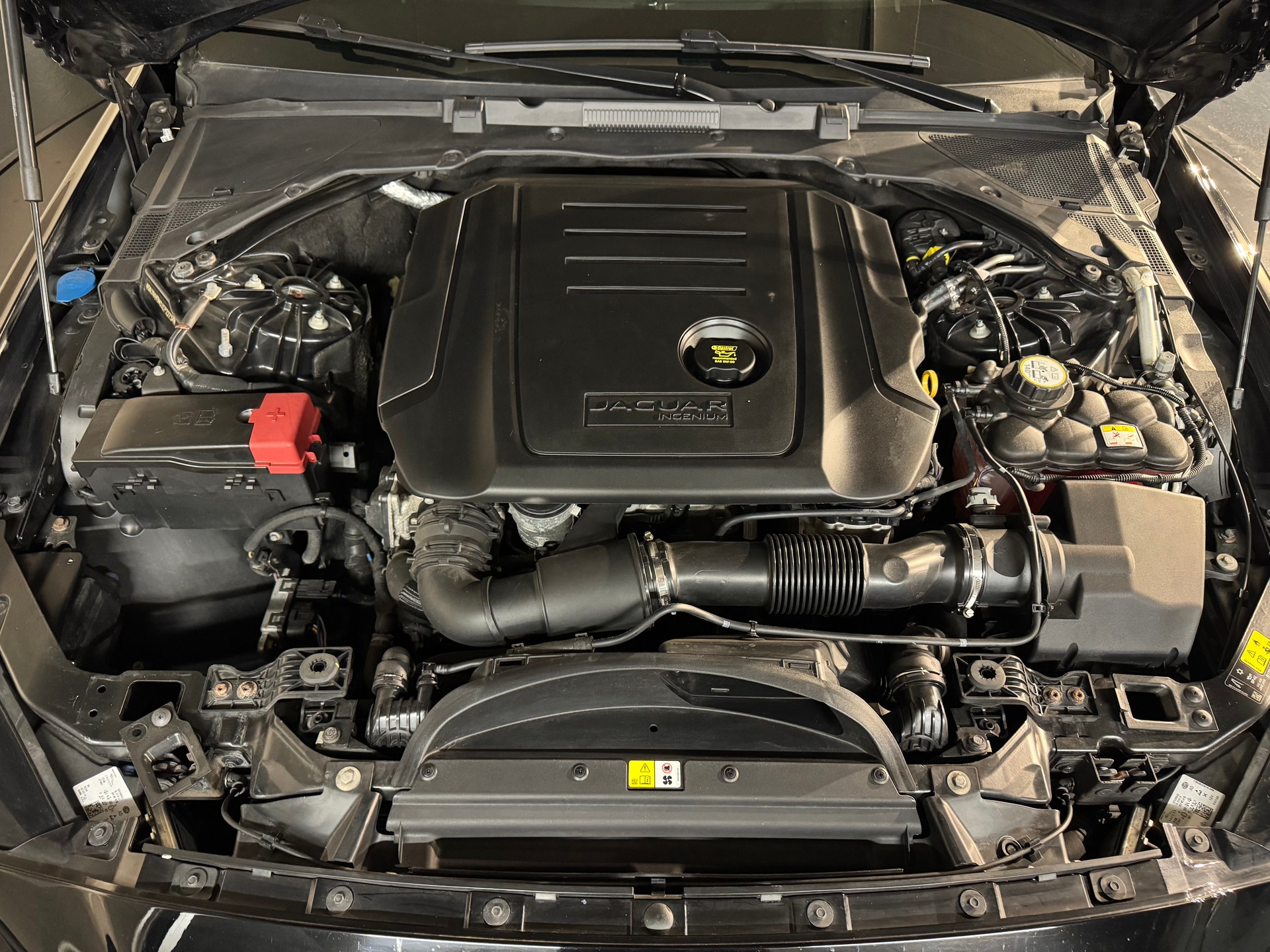 JAGUAR XE 20d AWD R-Sport 90 Years Celebration-image-22
