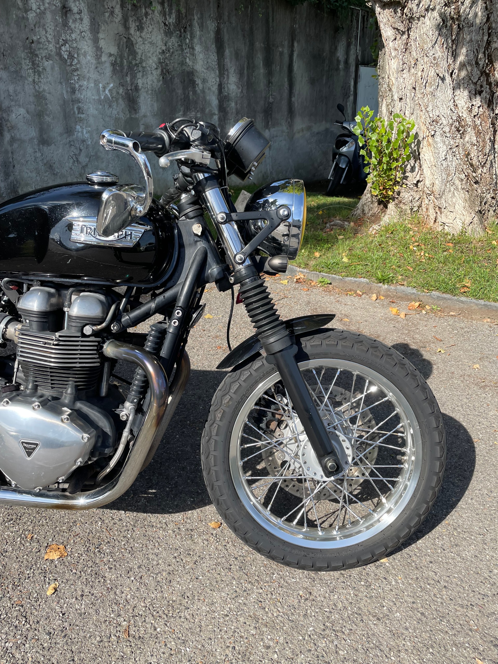 TRIUMPH Thruxton 900 i-image-9