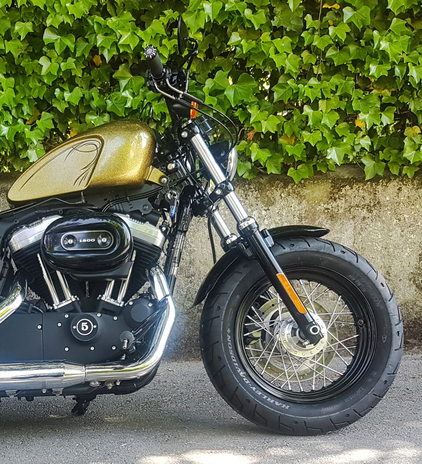 HARLEY-DAVIDSON XL 1200 X Forty Eight-image-12
