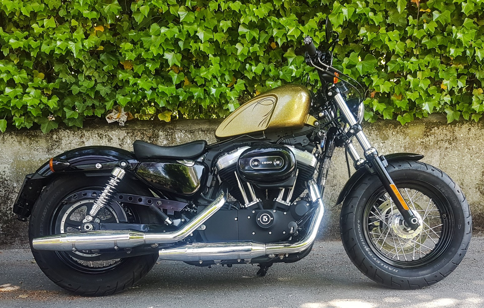 HARLEY-DAVIDSON XL 1200 X Forty Eight-image-2