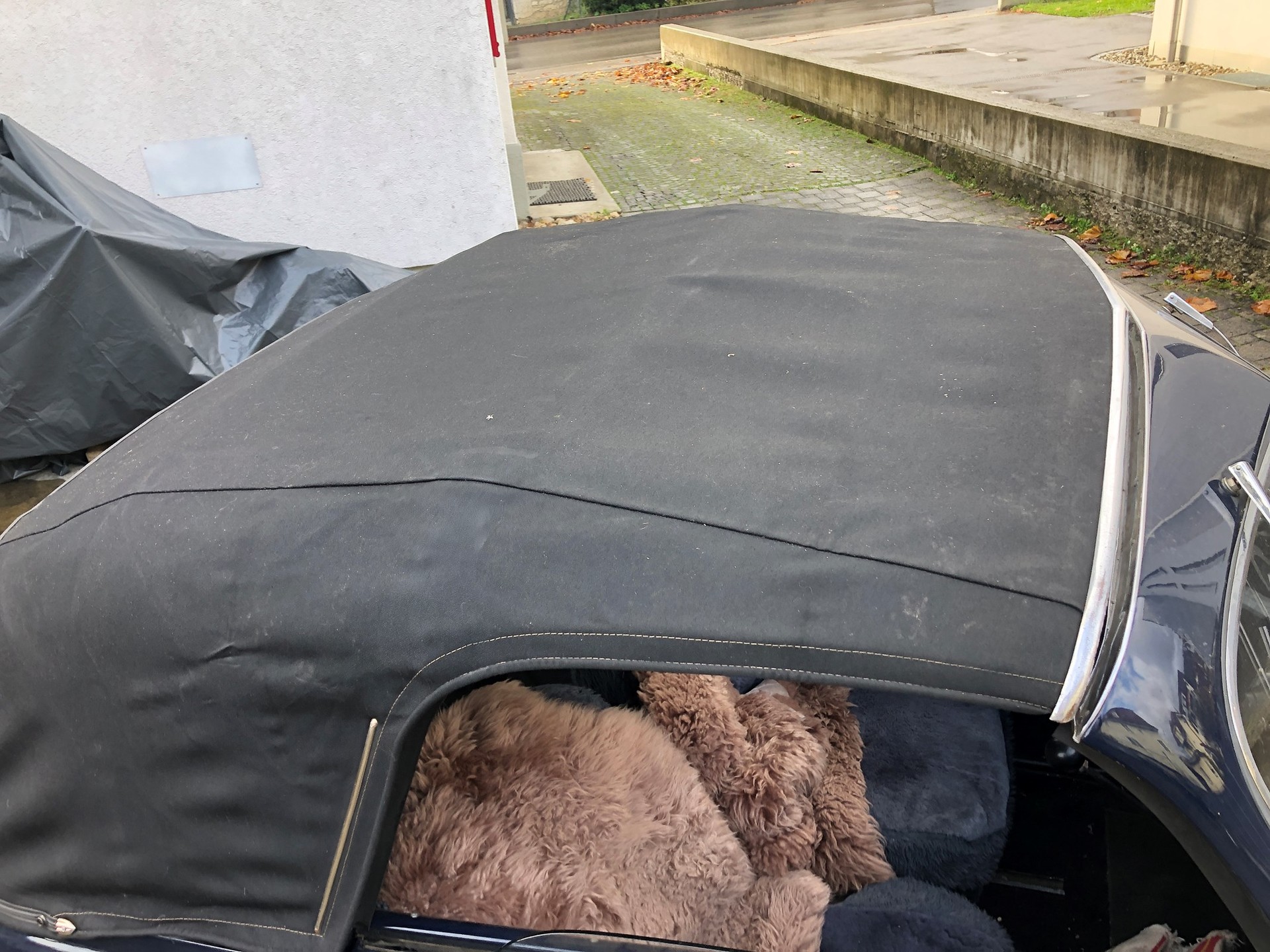 PEUGEOT 302 Cabrio-image-9