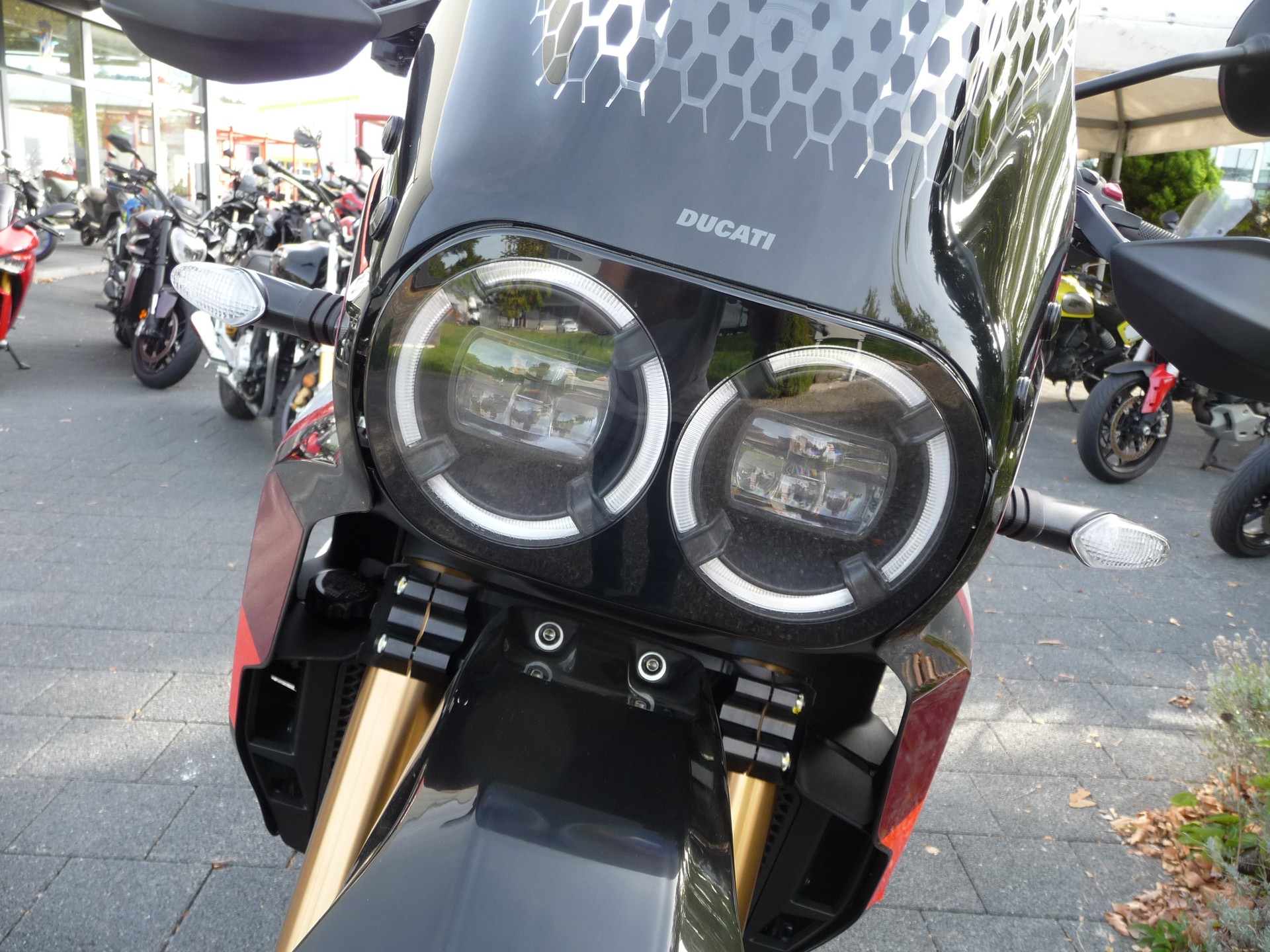DUCATI Desert X Rally statt 22'990.- >> 19'900.--image-9