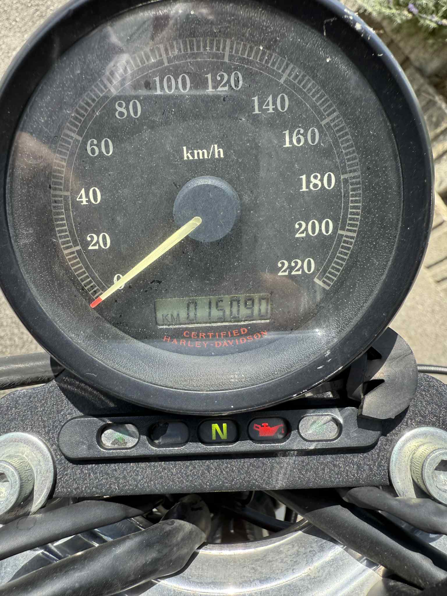HARLEY-DAVIDSON XL 883 L Sportster Low-image-6