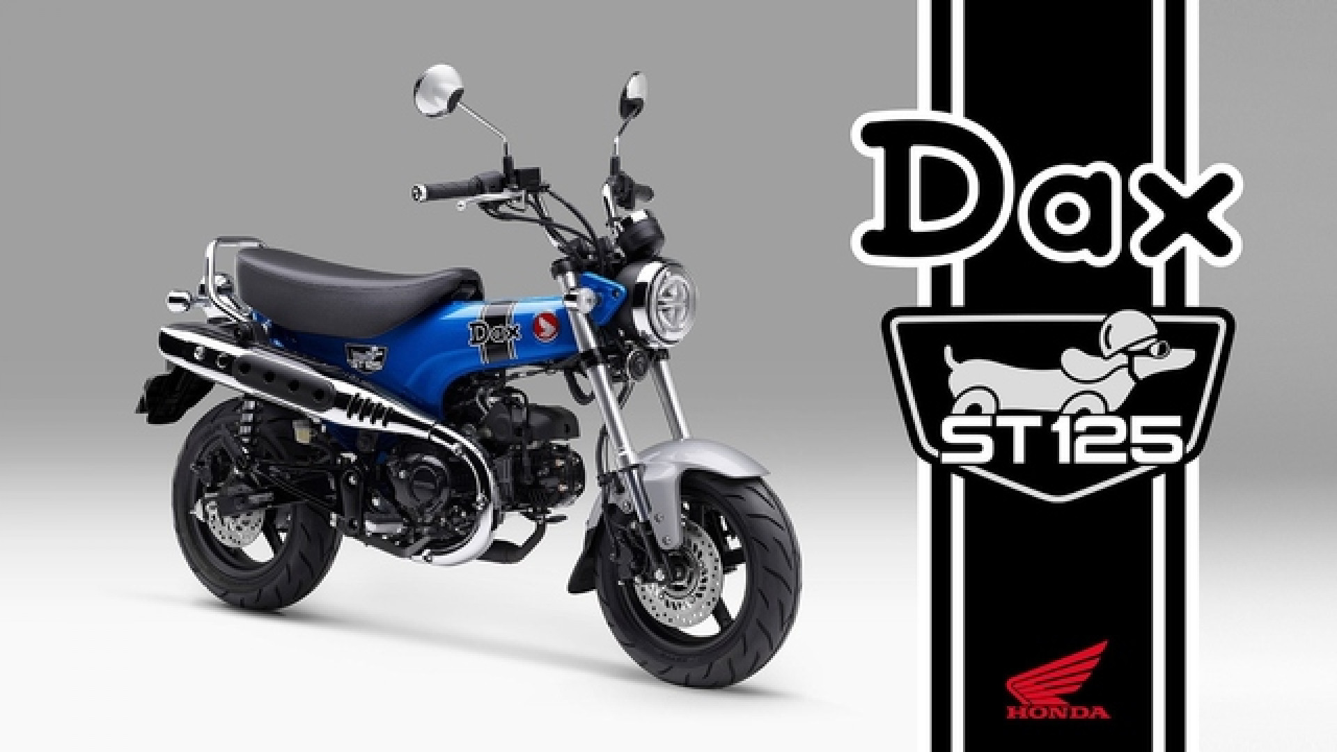 HONDA ST 125 Dax-image-1