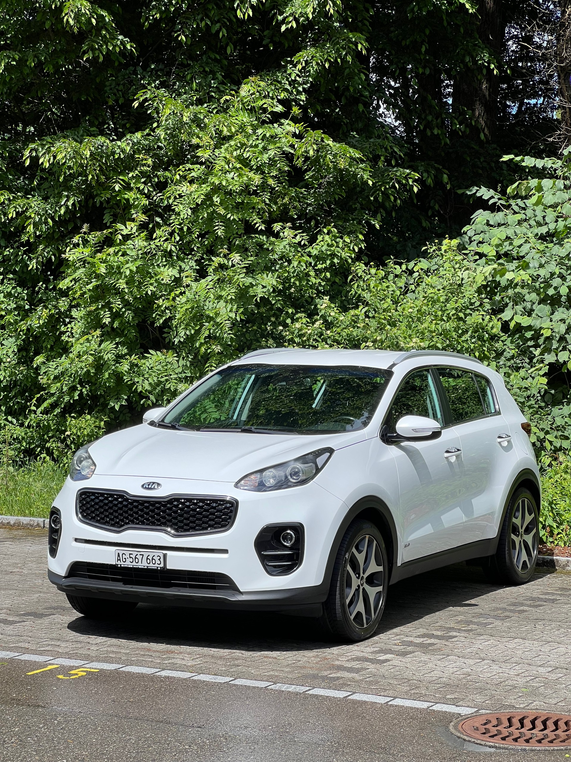 KIA Sportage 2.0 CRDi Trend-image-2