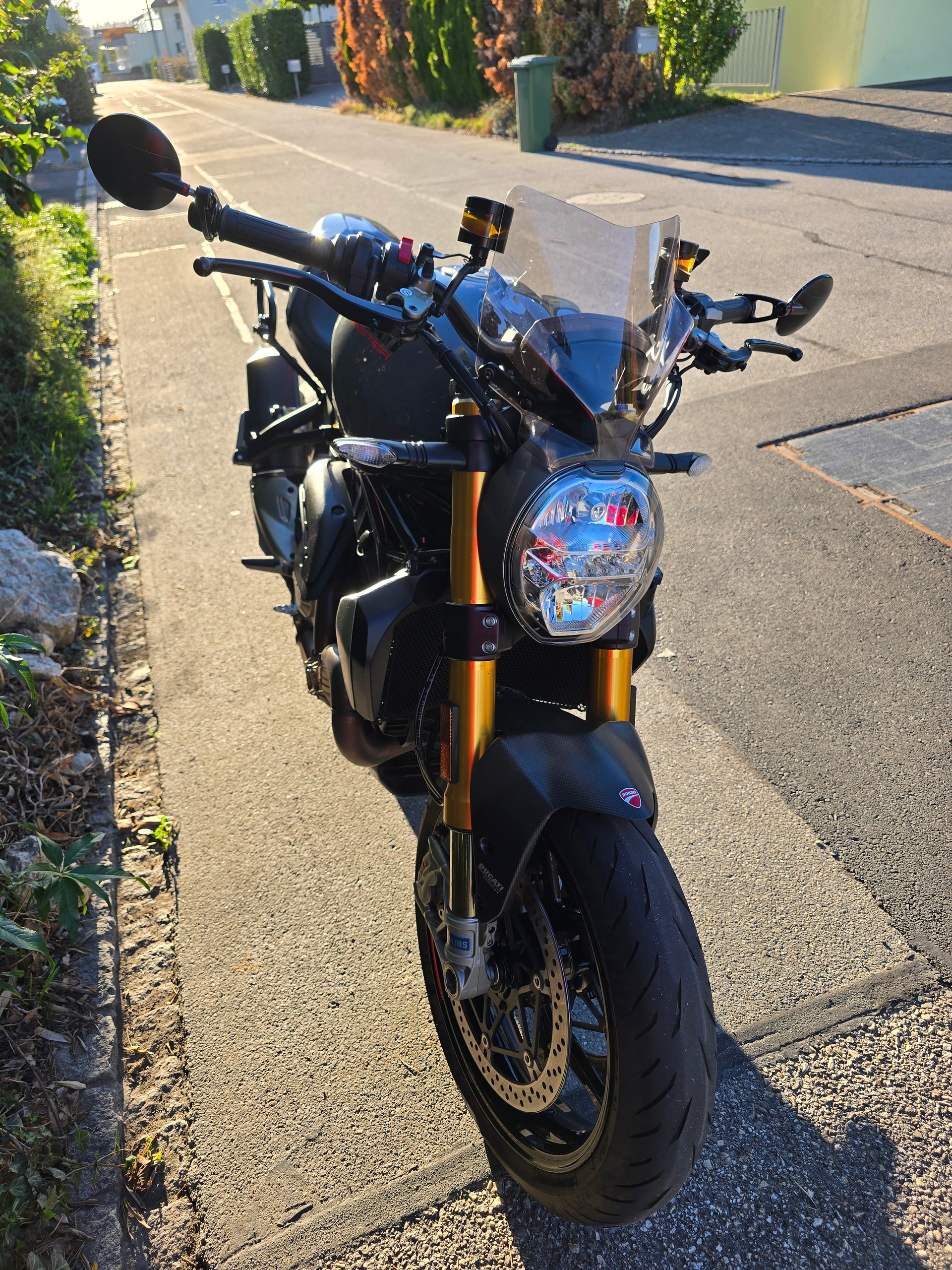 DUCATI Monster 1200 S-image-1