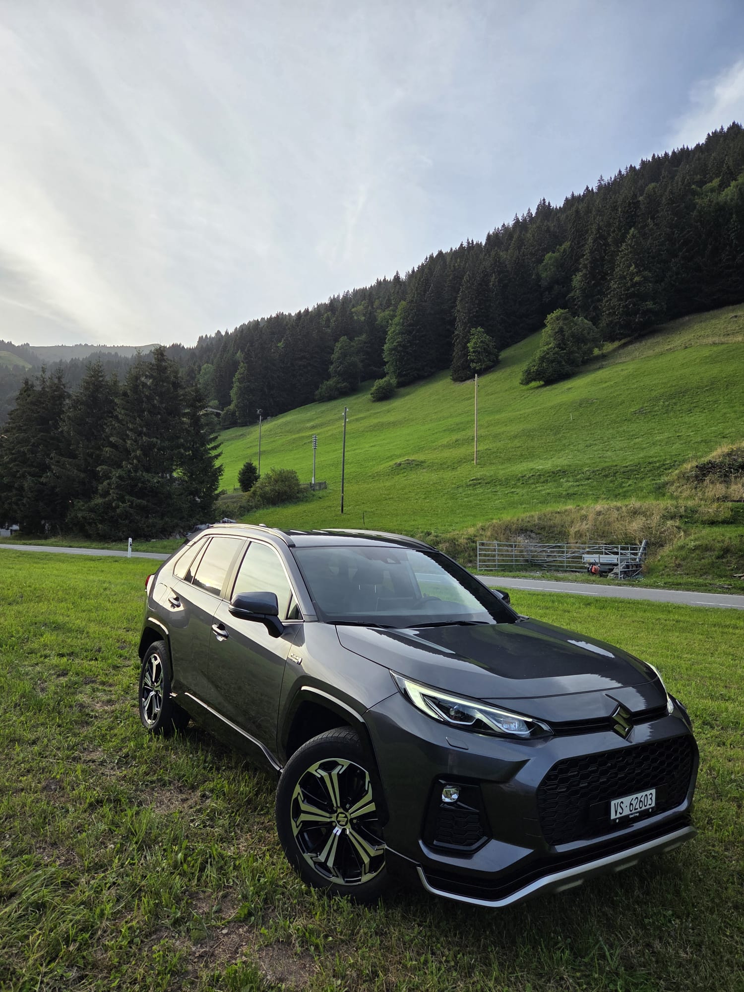 SUZUKI 2.5 PHEV Compact Top 4x4