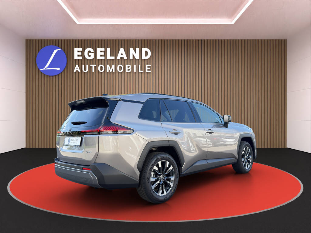 TOYOTA RAV-4 2.5 HEV Trend 4WD-showroom-element-3