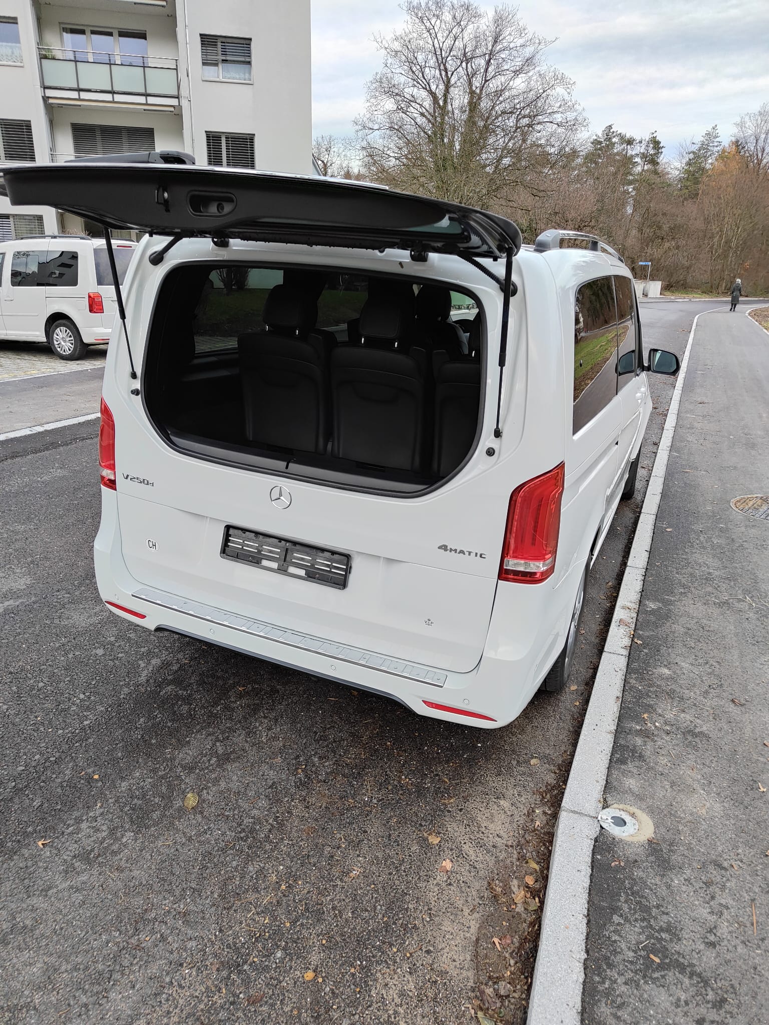 MERCEDES-BENZ V 250 d BlueTec Sw. Ed.lang 4m-image-13