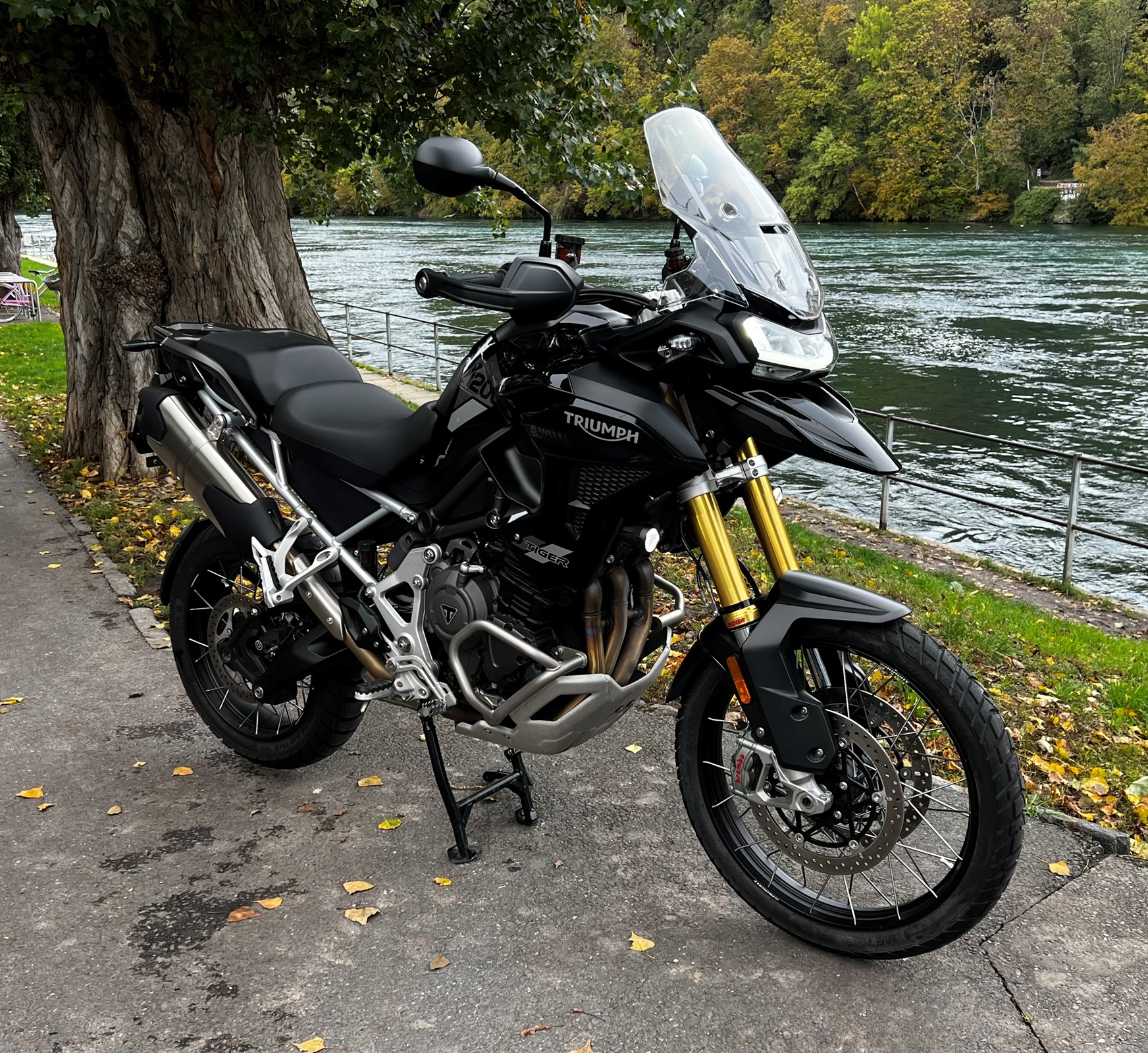 TRIUMPH Tiger 1200 Rally Pro-image-2