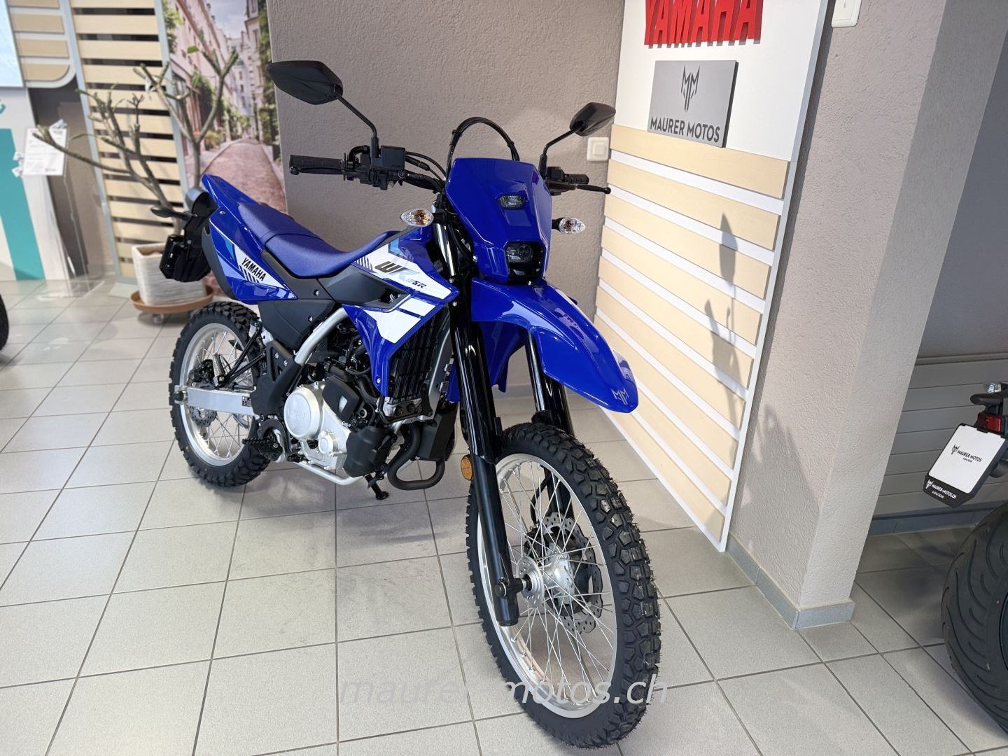 YAMAHA WR 125 2026-image-2