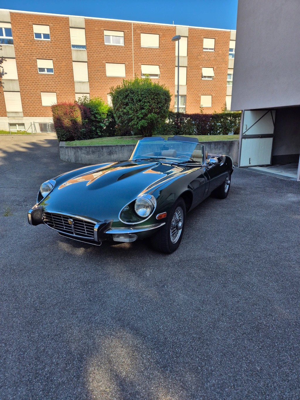 JAGUAR E