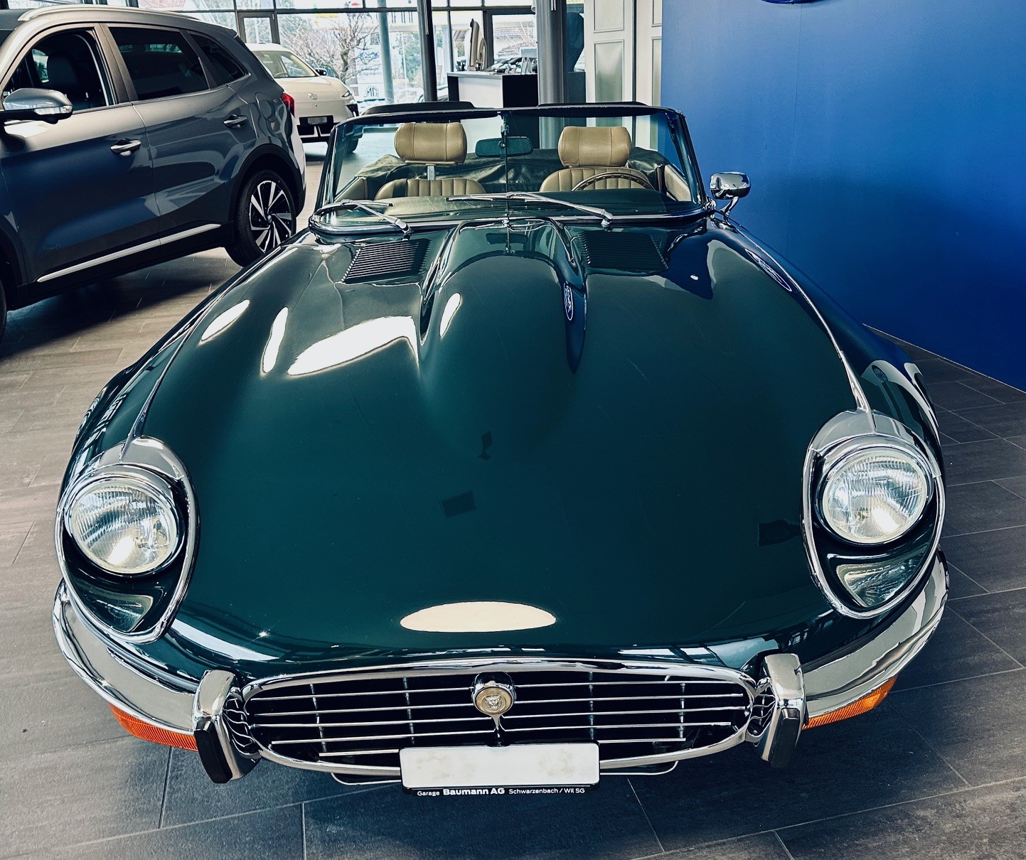 JAGUAR V12 Serie III-showroom-element-3