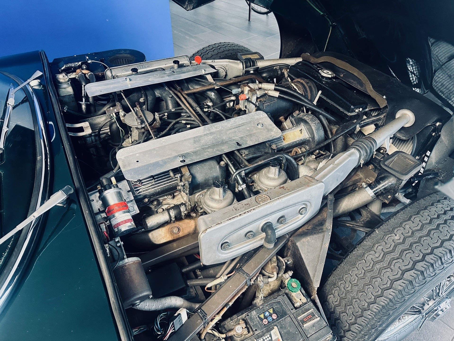 JAGUAR V12 Serie III-image-9