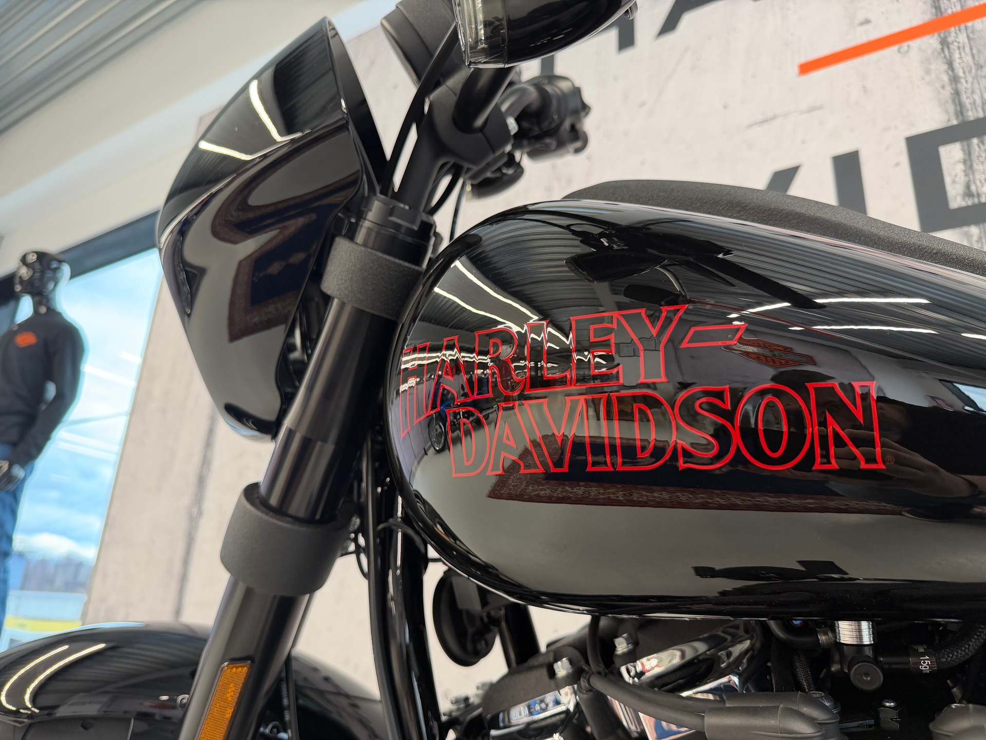 HARLEY-DAVIDSON FXLRS Low Rider S 117-image-6