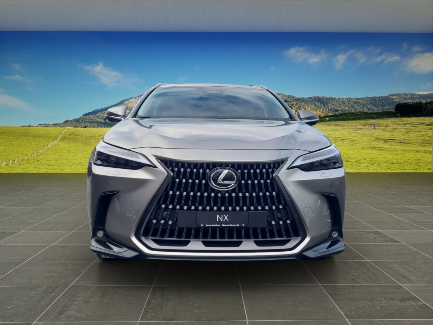 LEXUS NX 450h+ excellence AWD-image-7