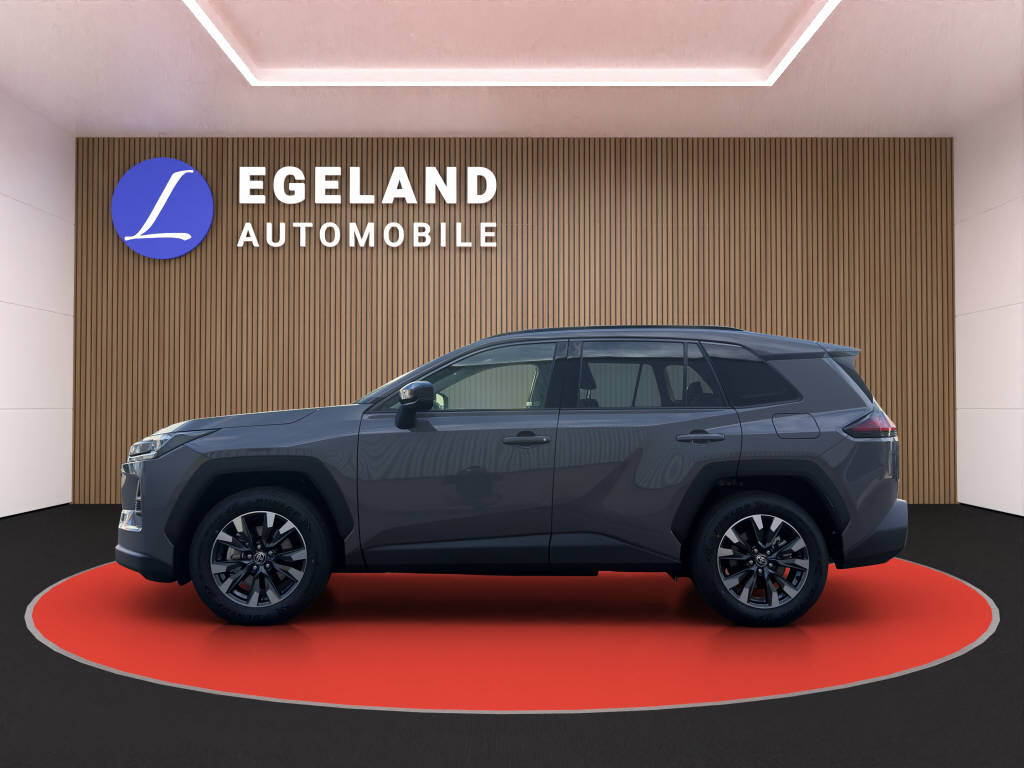 TOYOTA RAV-4 2.5 HEV Trend 4WD-image-6