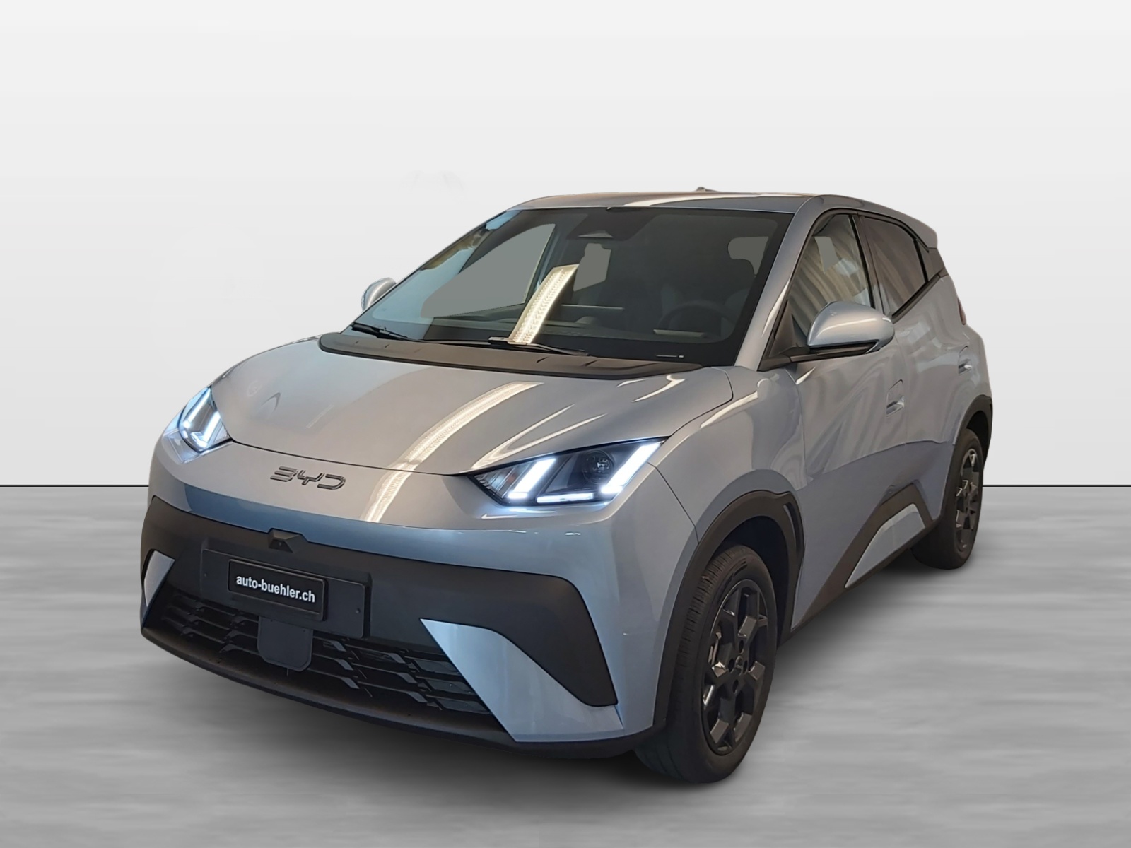 BYD Dolphin Surf Boost