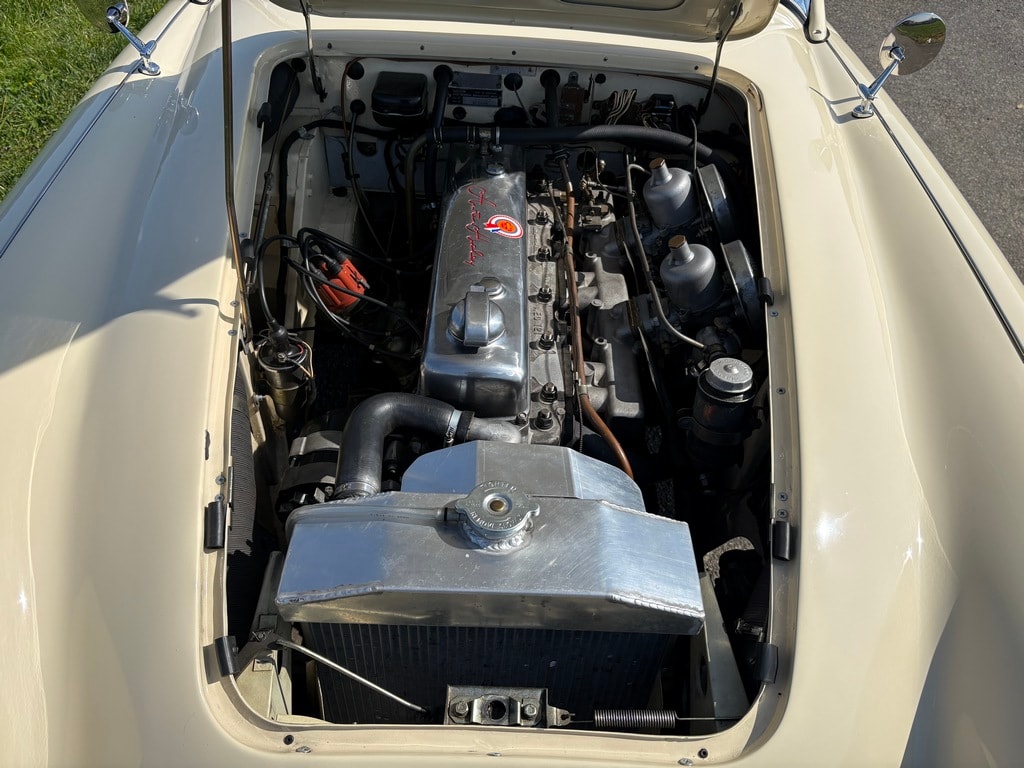 AUSTIN-HEALEY 3000 MKI-image-15