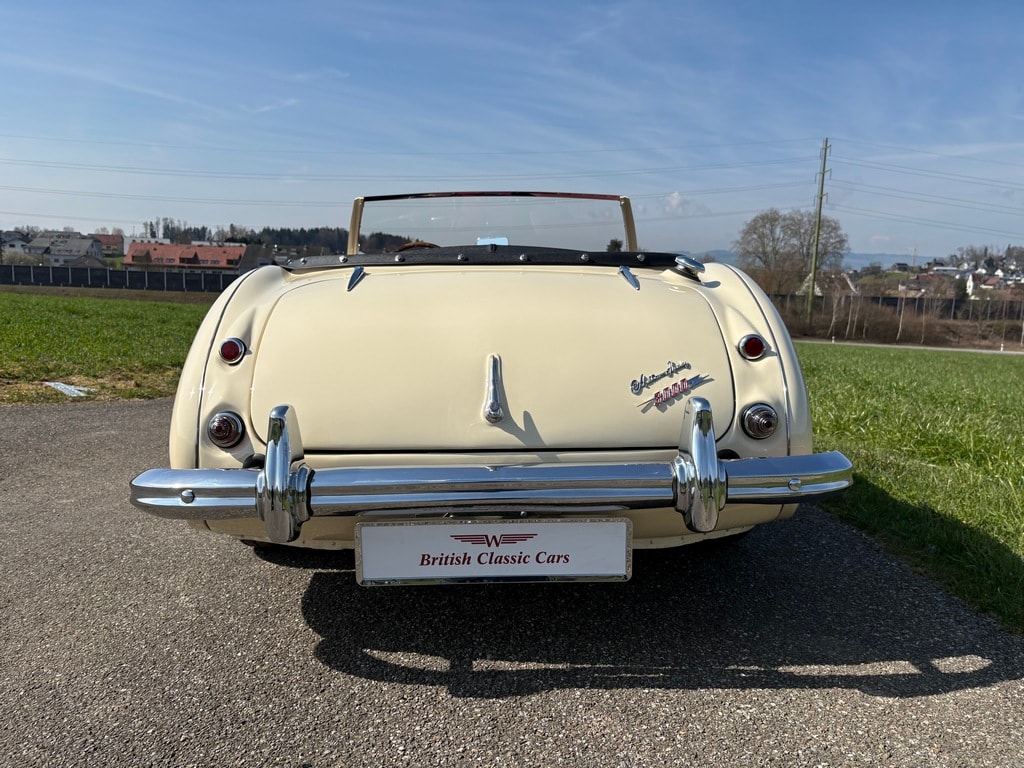 AUSTIN-HEALEY 3000 MKI-showroom-element-3