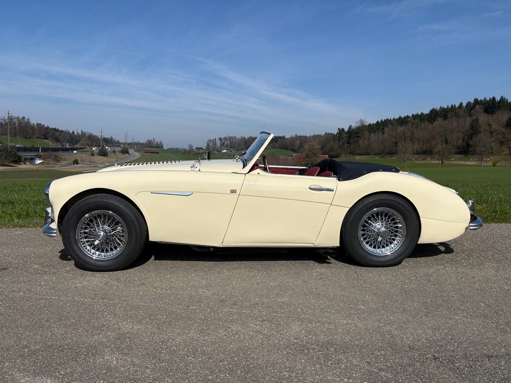 AUSTIN-HEALEY 3000 MKI-showroom-element-1