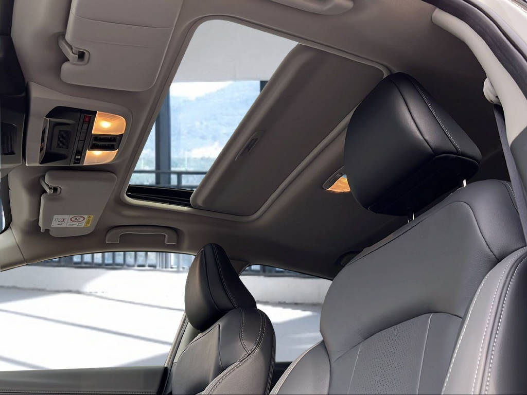 SUBARU Crosstrek 2.0i e-Boxer Luxury Demowagen-image-9