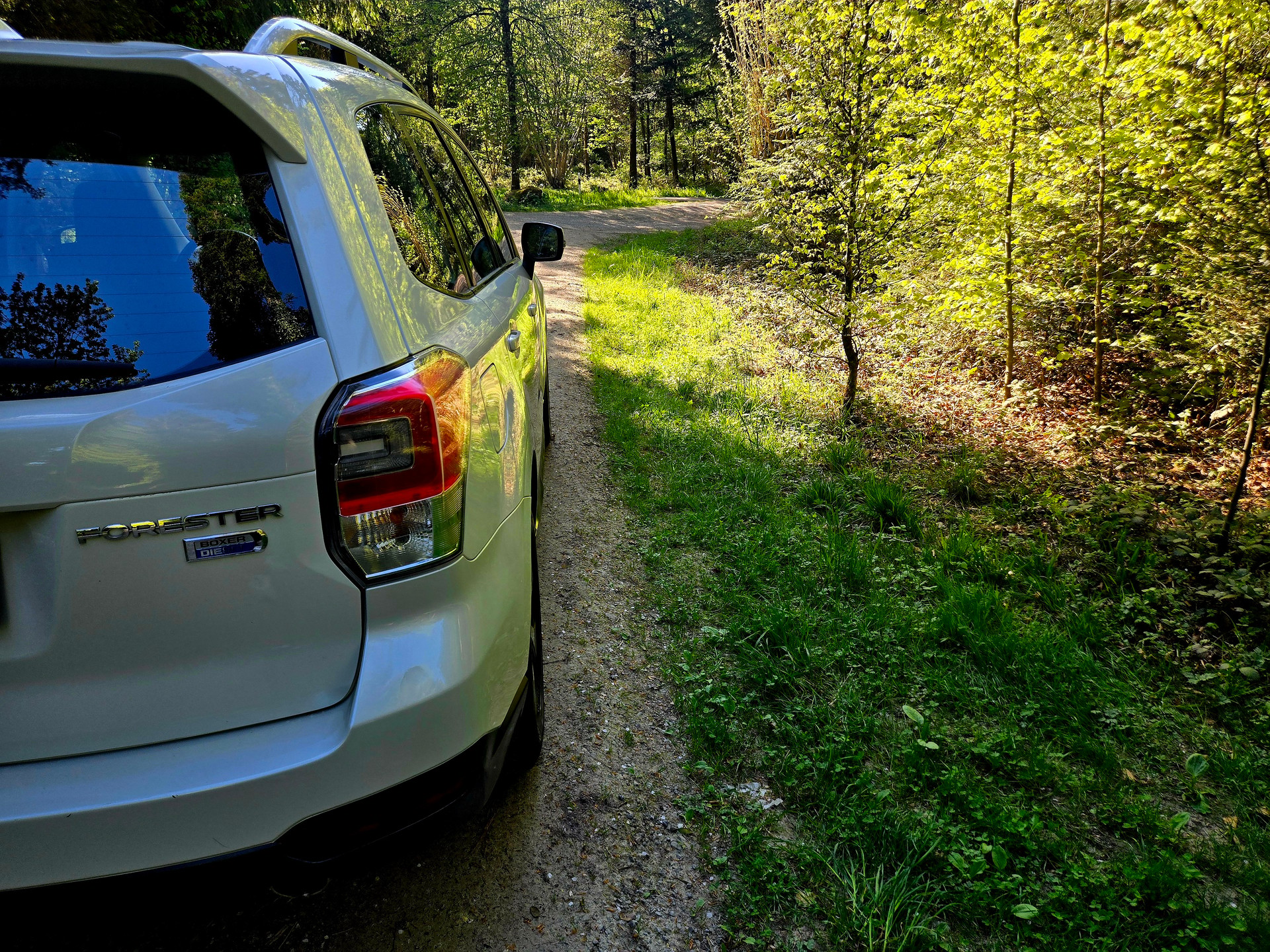 SUBARU Forester 2.0D Swiss Lineatronic-image-15