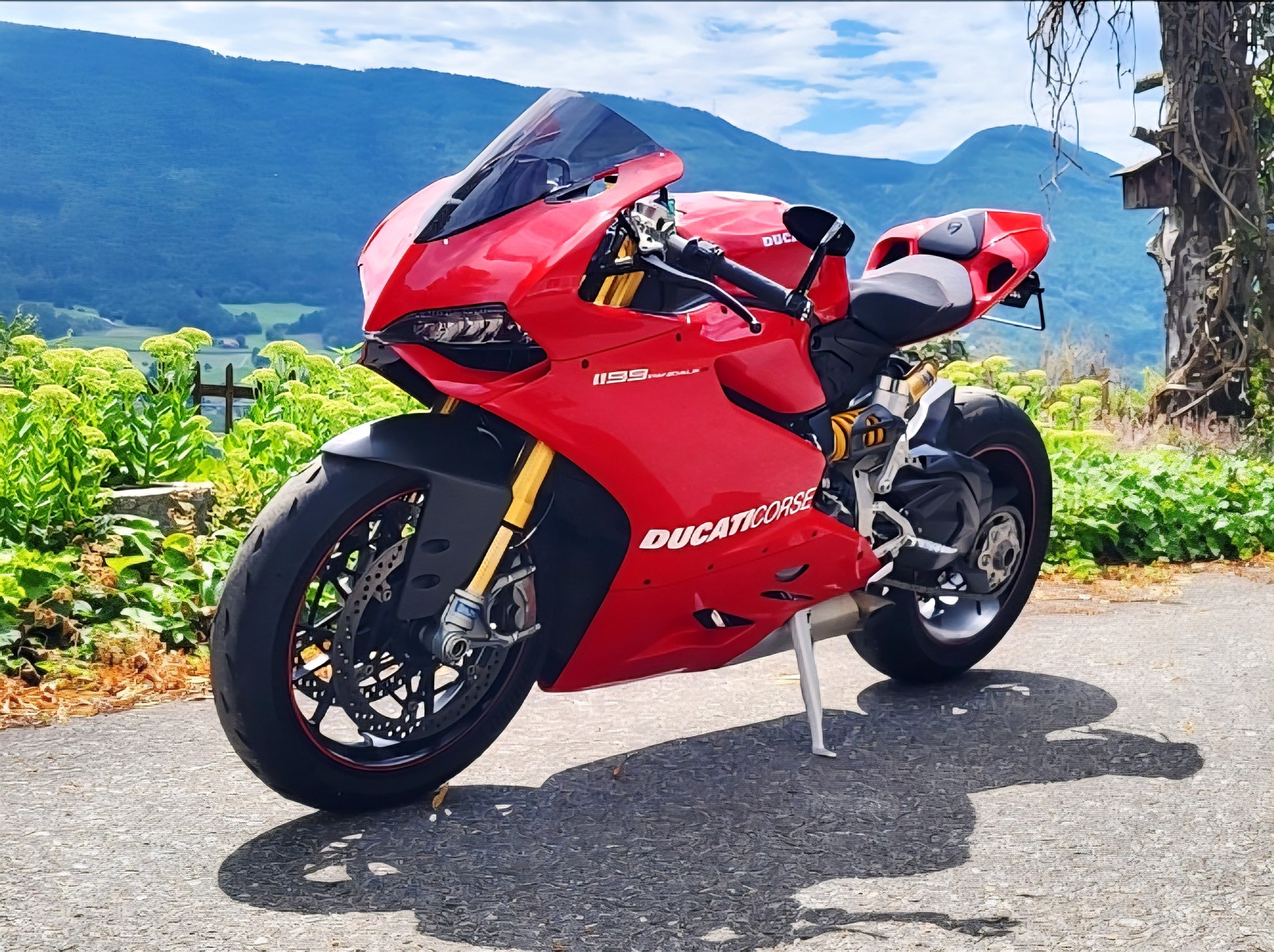 DUCATI Panigale 1199 S ABS-image-2