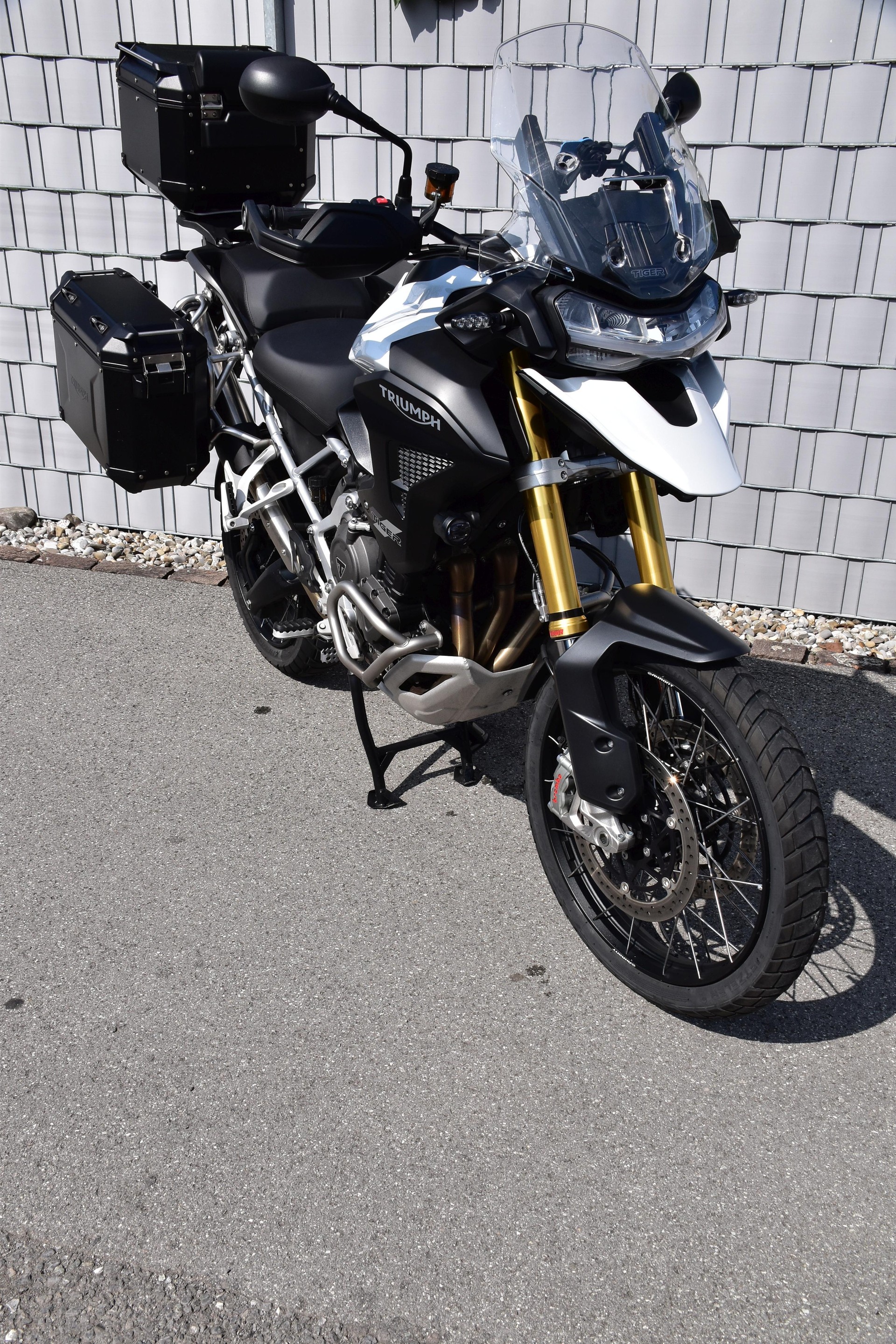 TRIUMPH Tiger 1200 Rally Pro-image-4