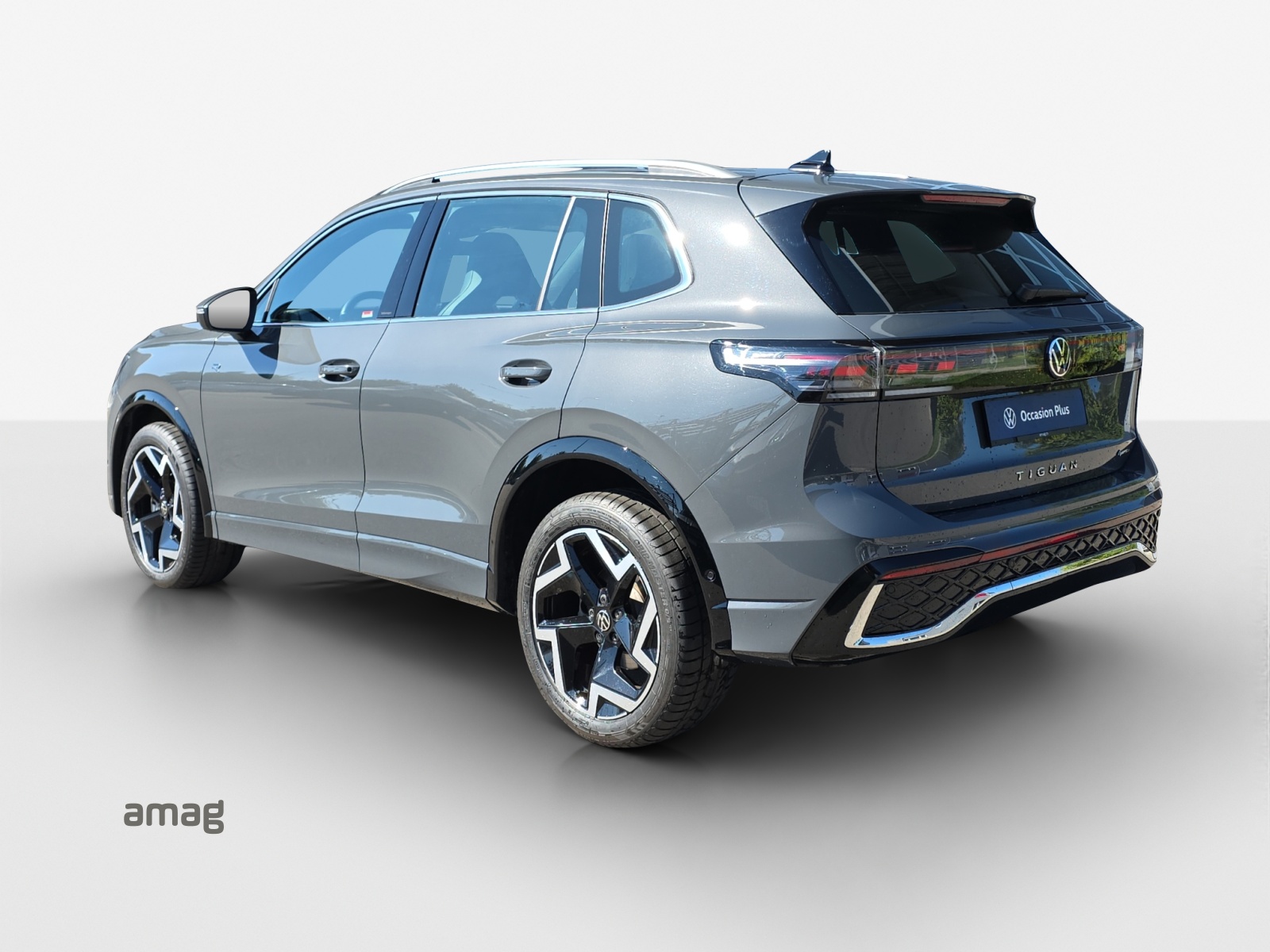 VW Tiguan 2.0 TSI DSG R-Line 4Motion-showroom-element-2