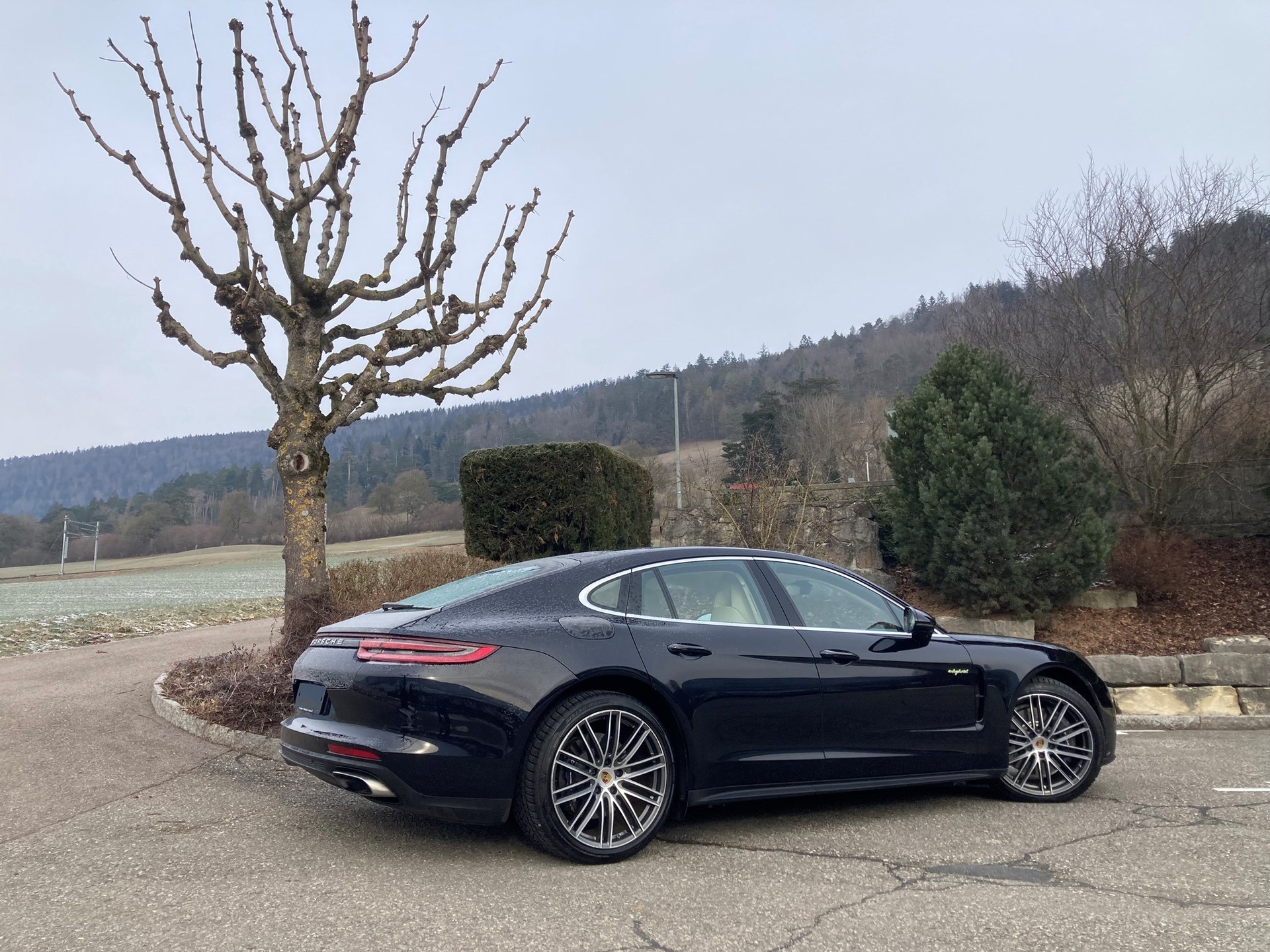 PORSCHE Panamera 4 E-Hybrid PDK-image-7