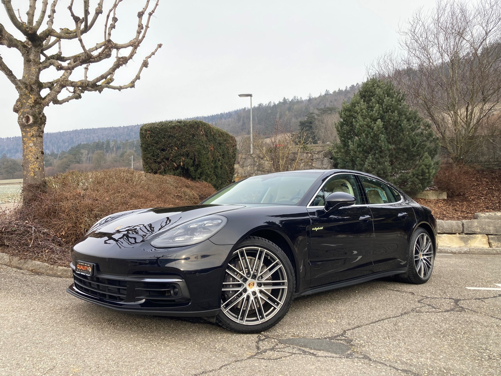 PORSCHE Panamera 4 E-Hybrid PDK-image-2