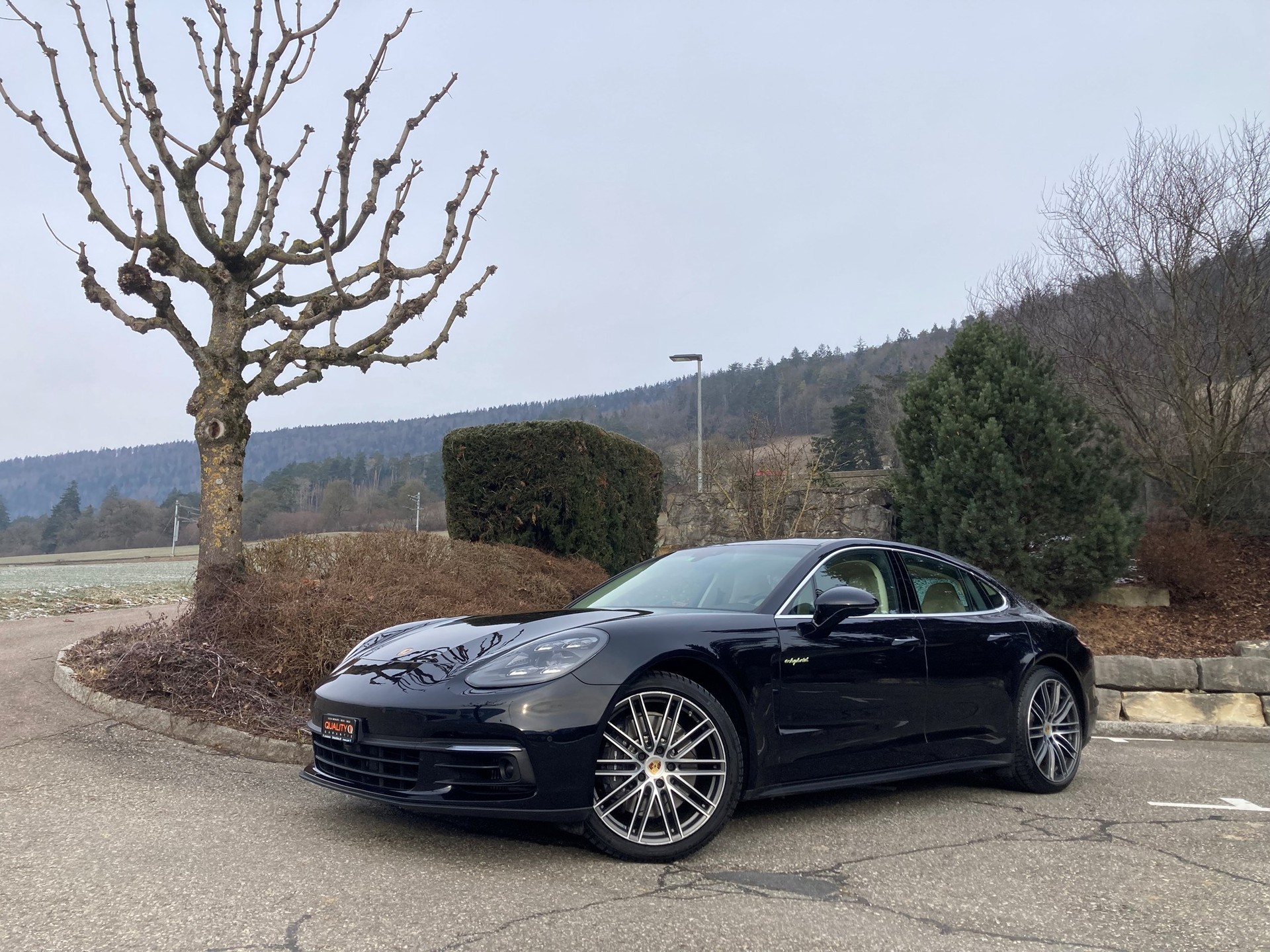 PORSCHE Panamera 4 E-Hybrid PDK-image-3