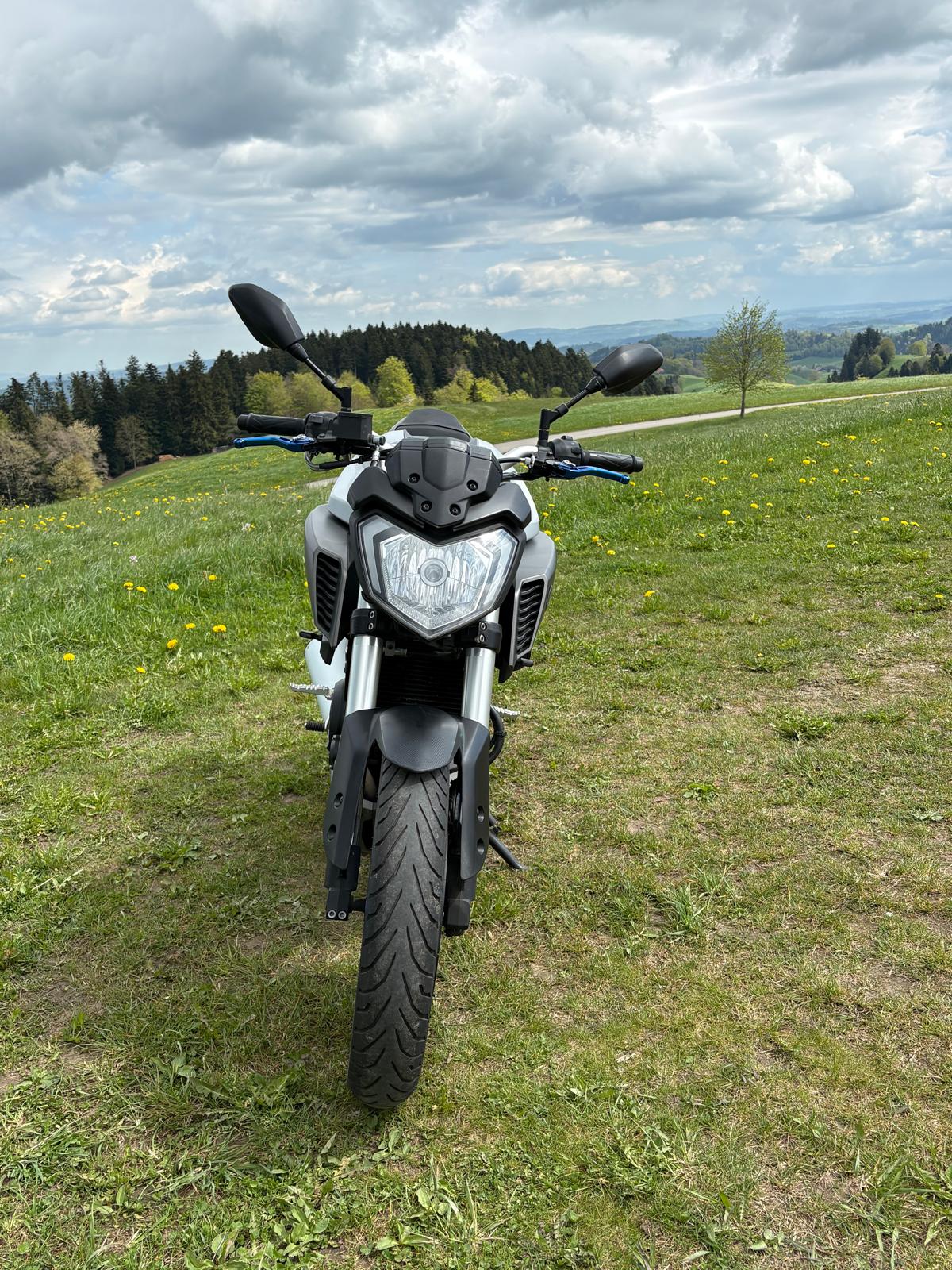 YAMAHA MT-125 ABS-image-3