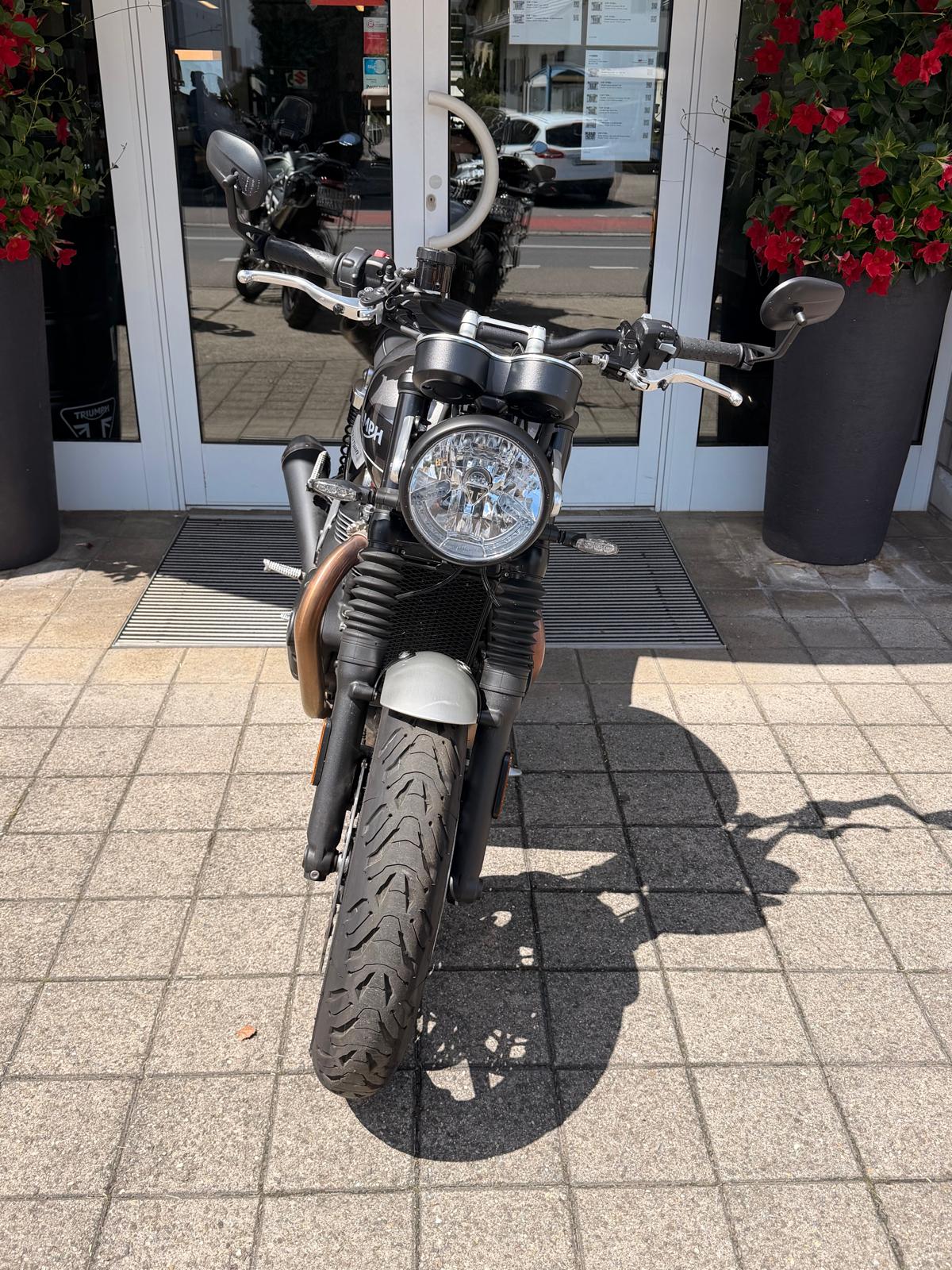 TRIUMPH Speed Twin 1200-image-6